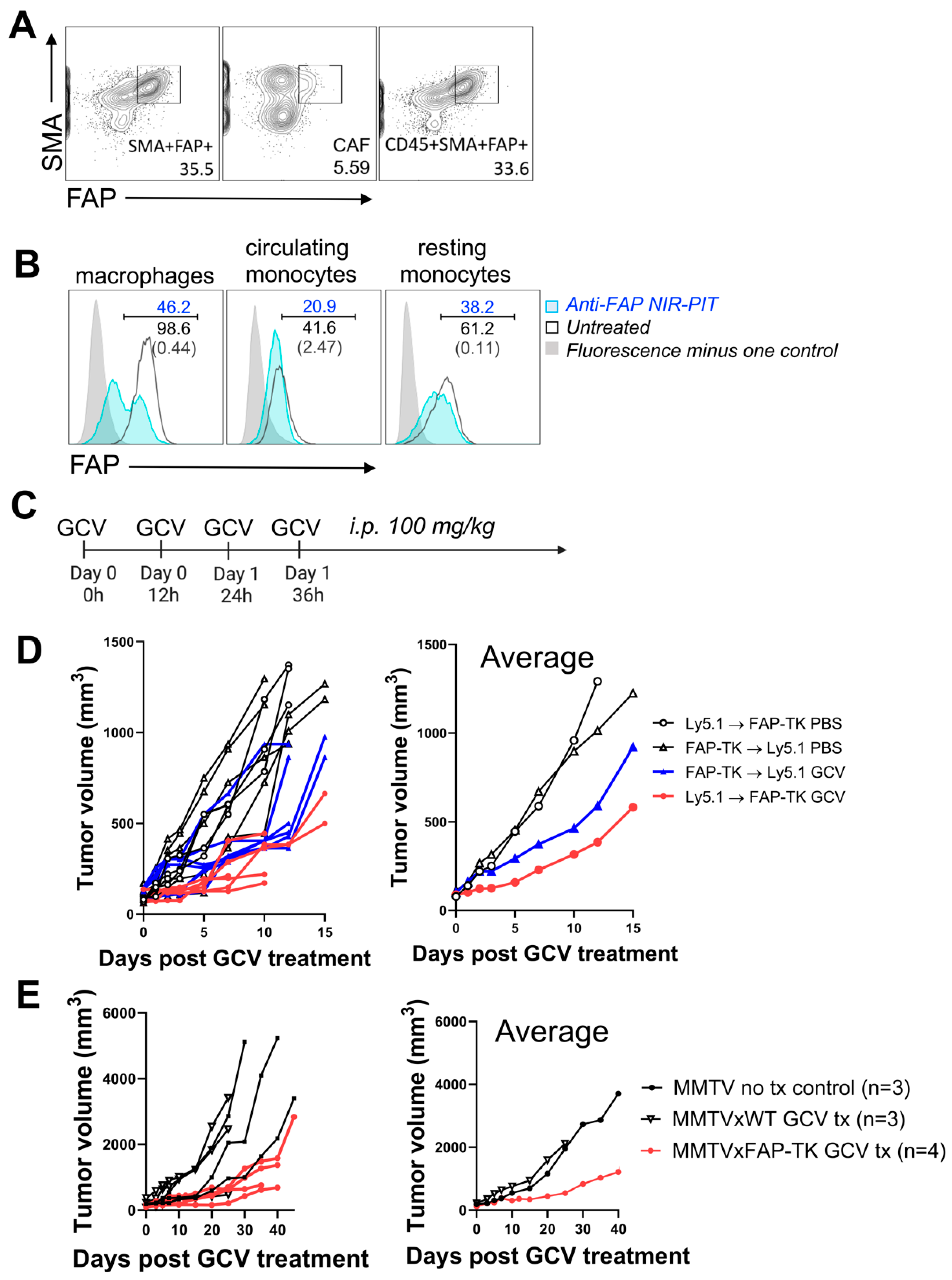 Cancers 16 00449 g005