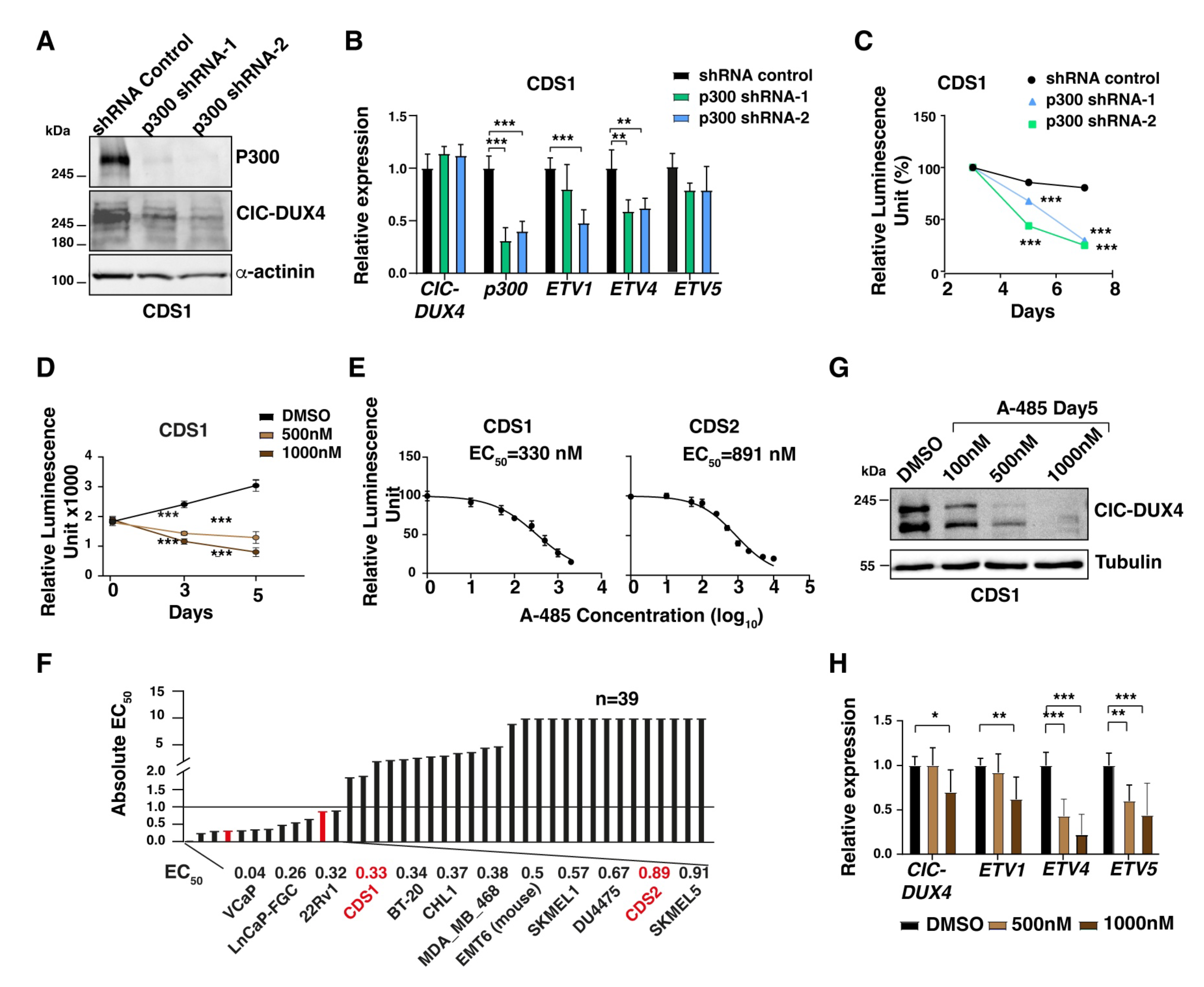 Cancers 16 00457 g004