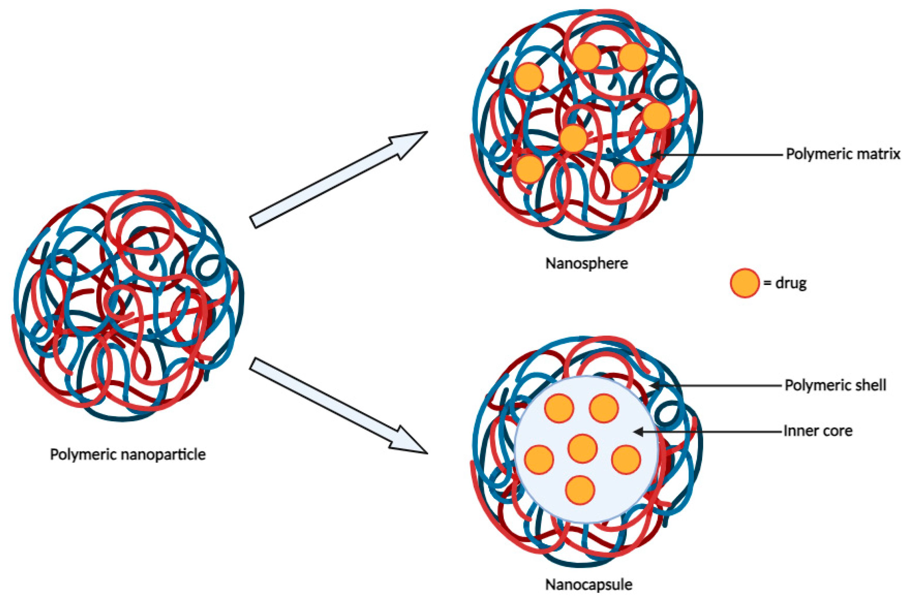 Cancers 16 00461 g002
