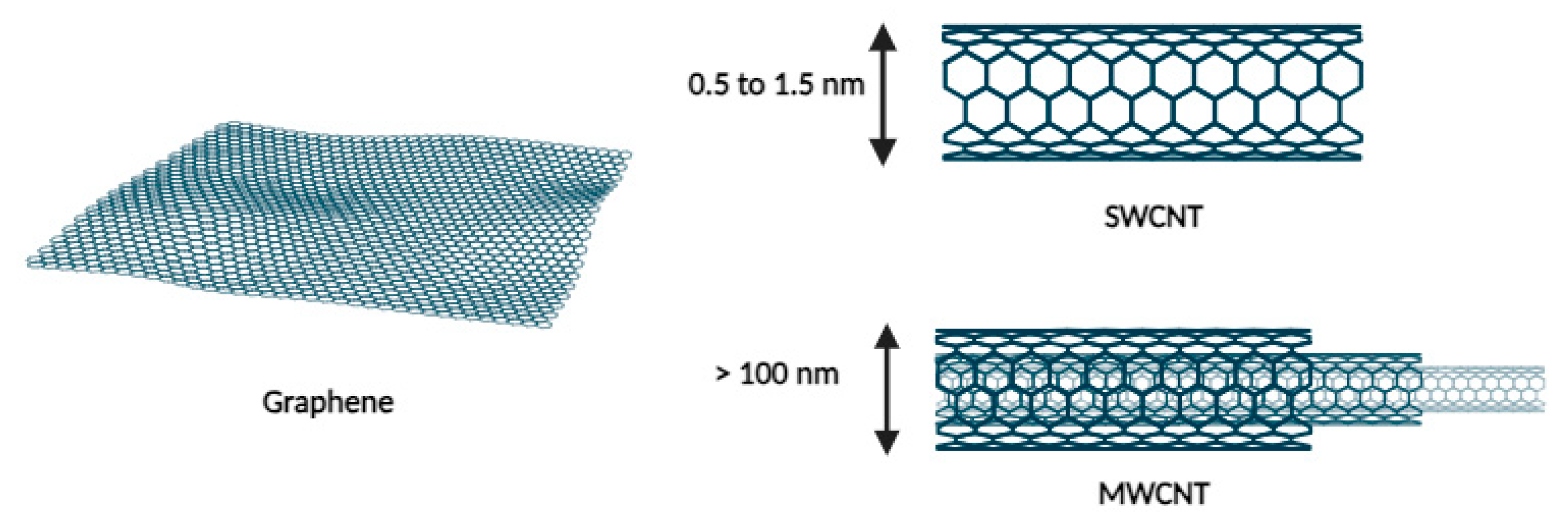 Cancers 16 00461 g005