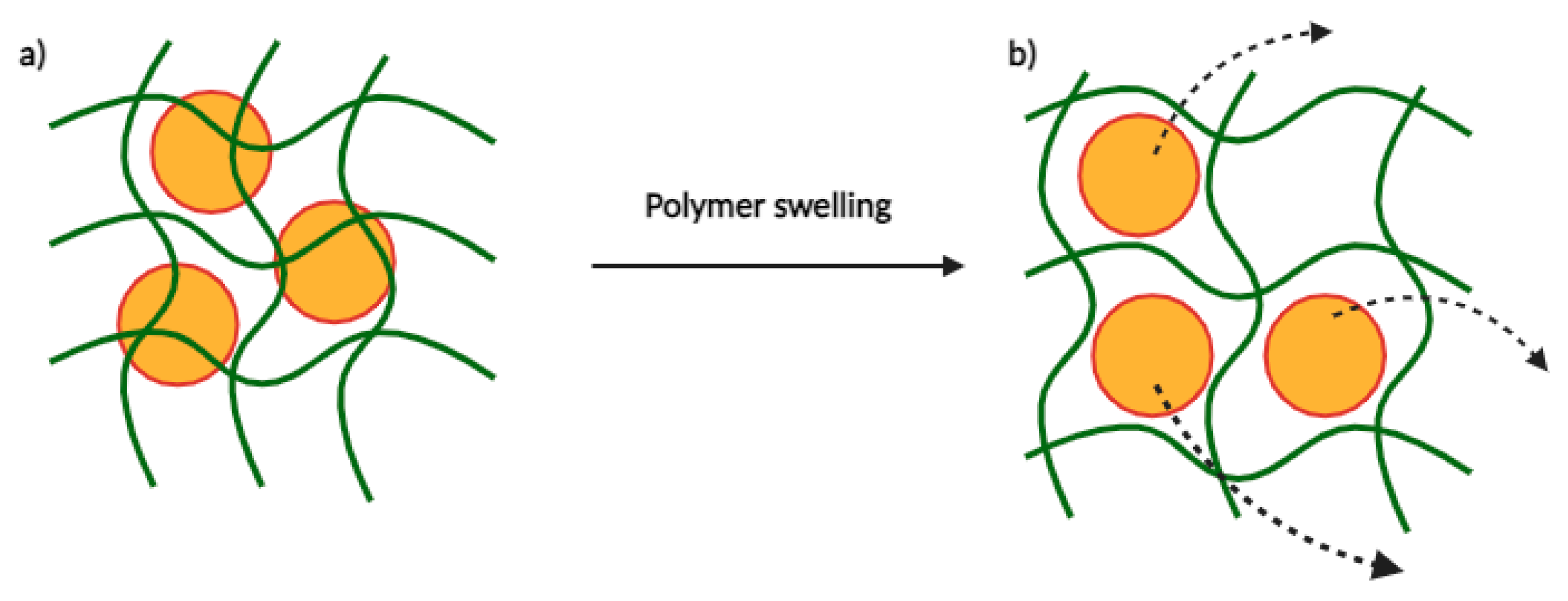 Cancers 16 00461 g008