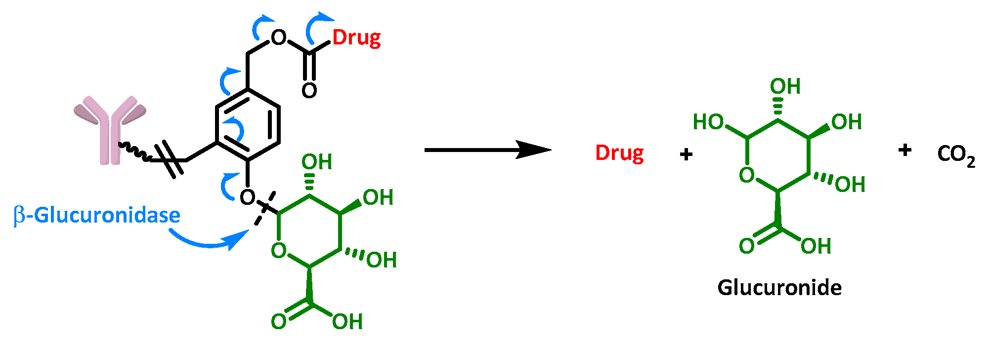 Cancers 16 00461 g012