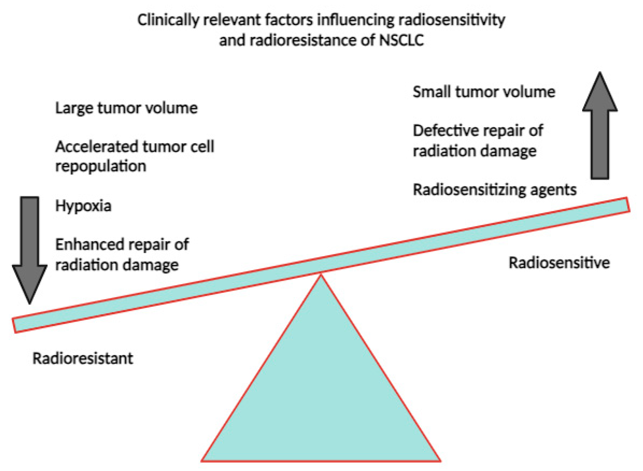 Cancers 16 00461 g013