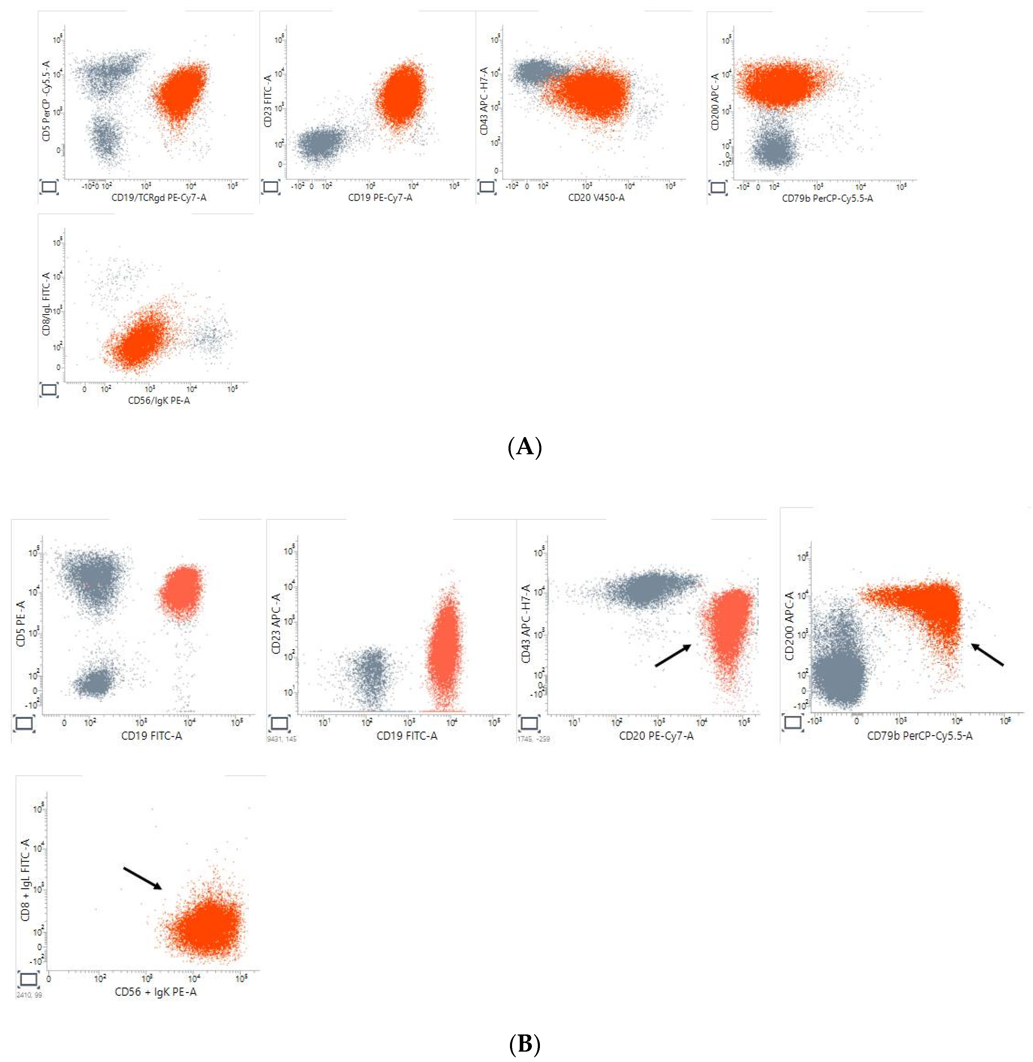 Cancers 16 00469 g001 Cancers 16 00469 g001