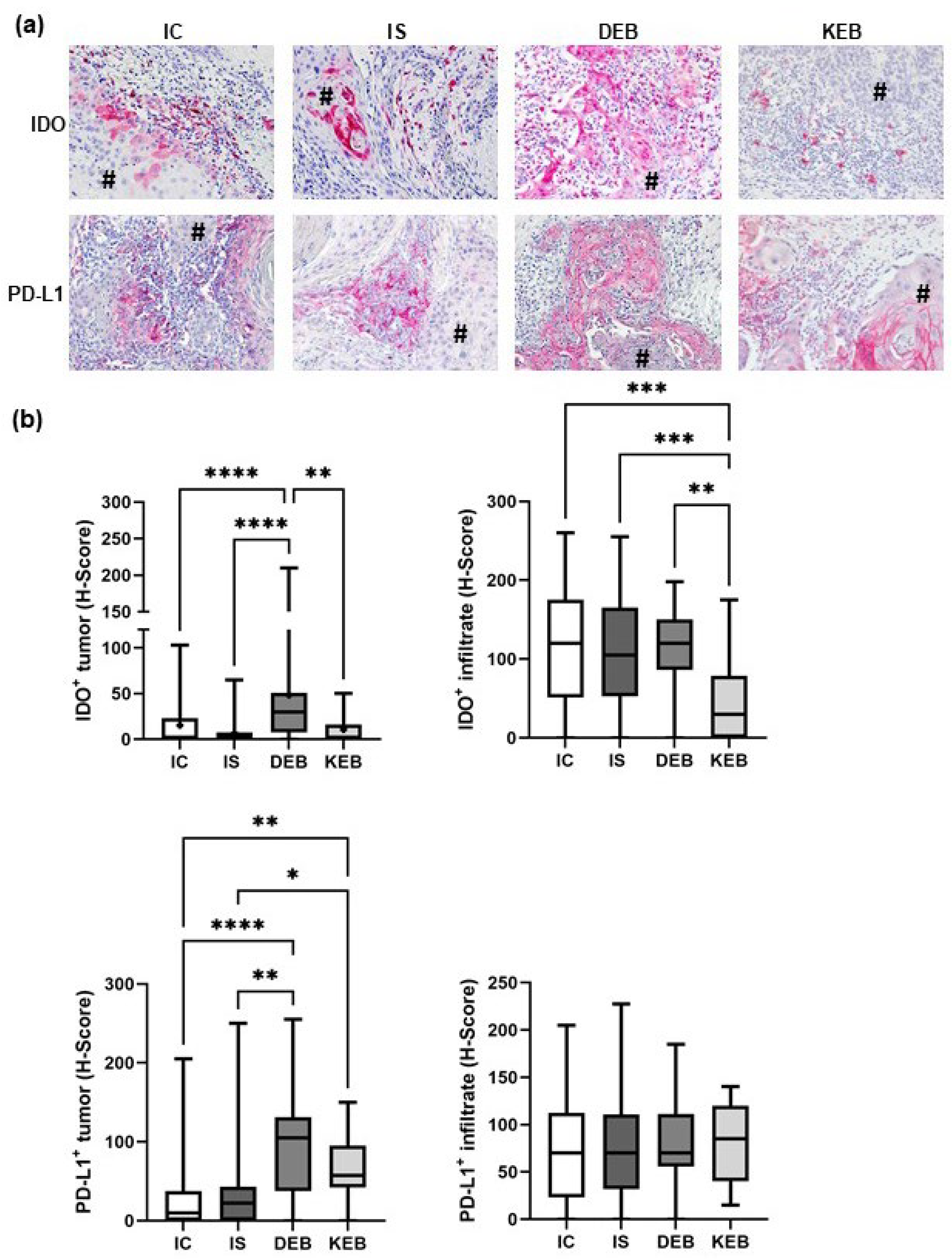 Cancers 16 00471 g002