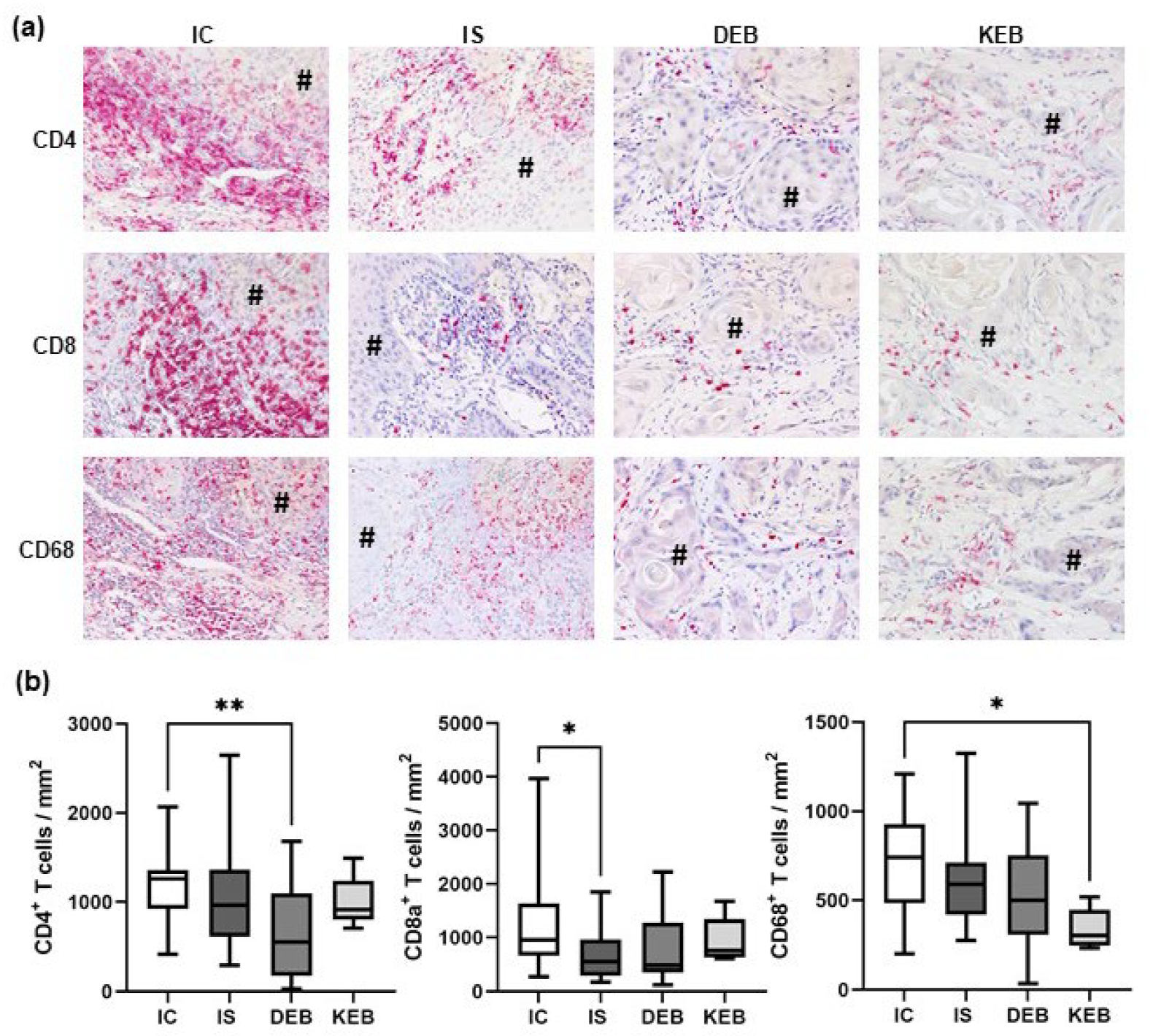 Cancers 16 00471 g003