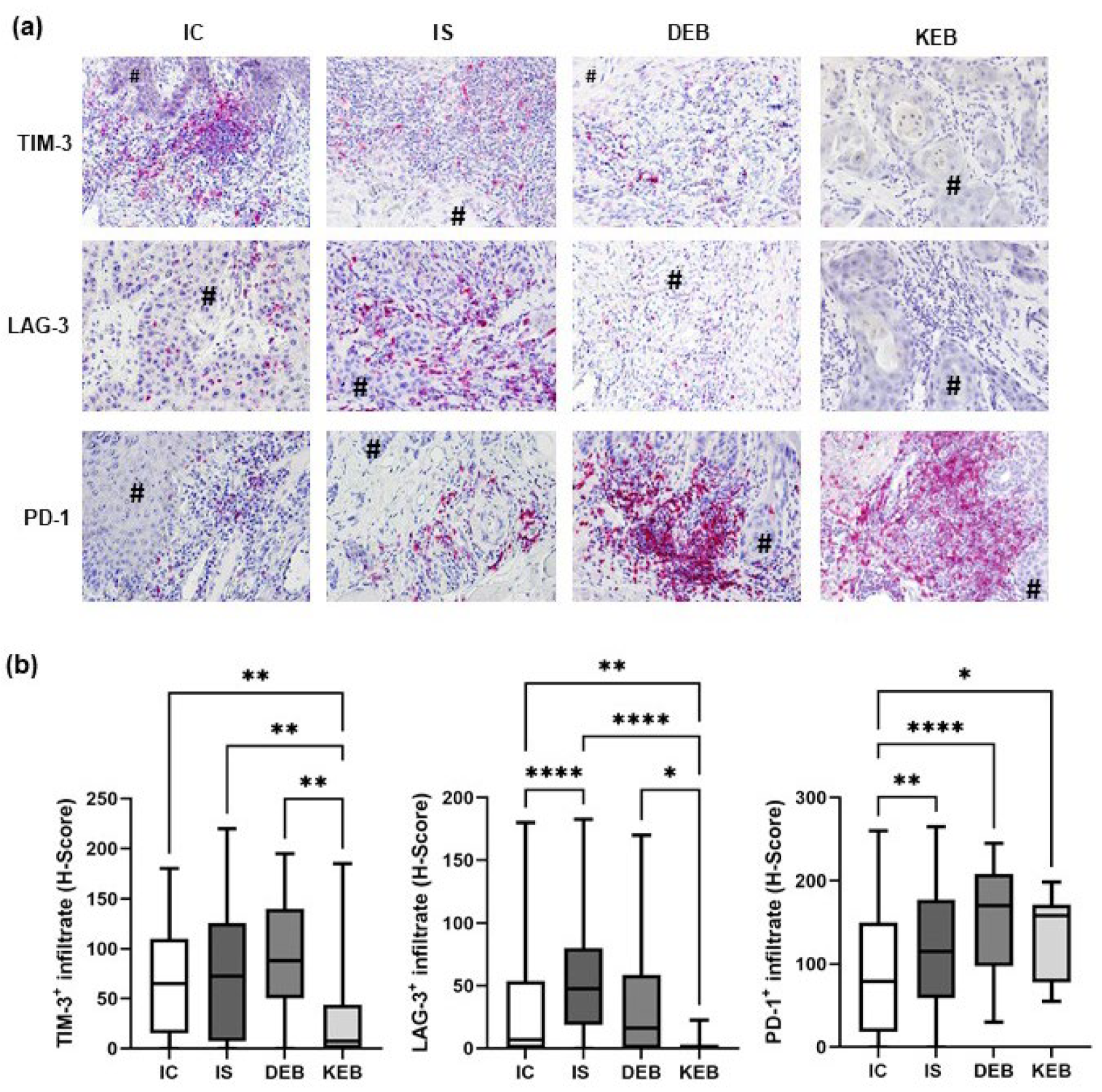 Cancers 16 00471 g004