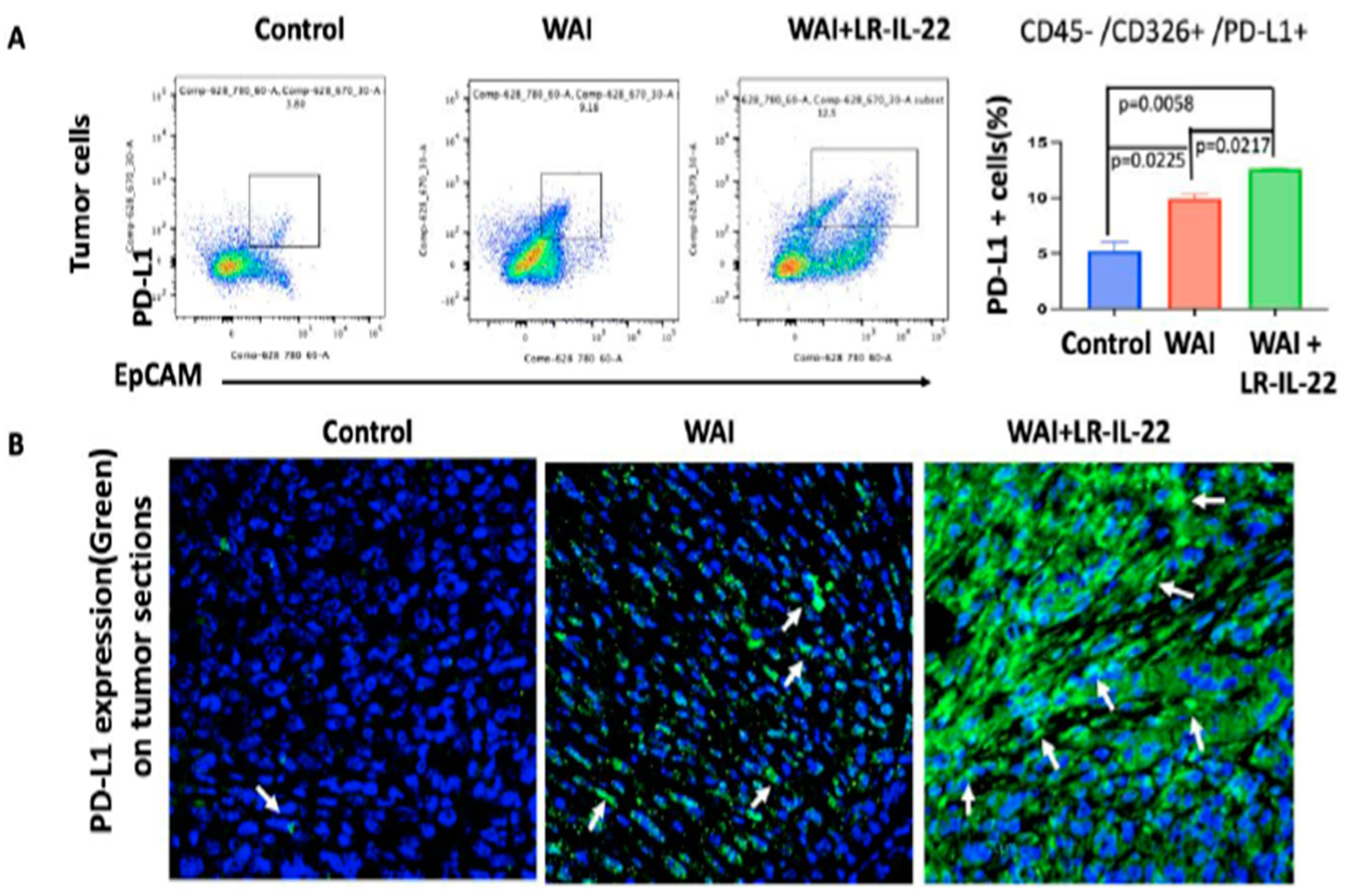 Cancers 16 00474 g005