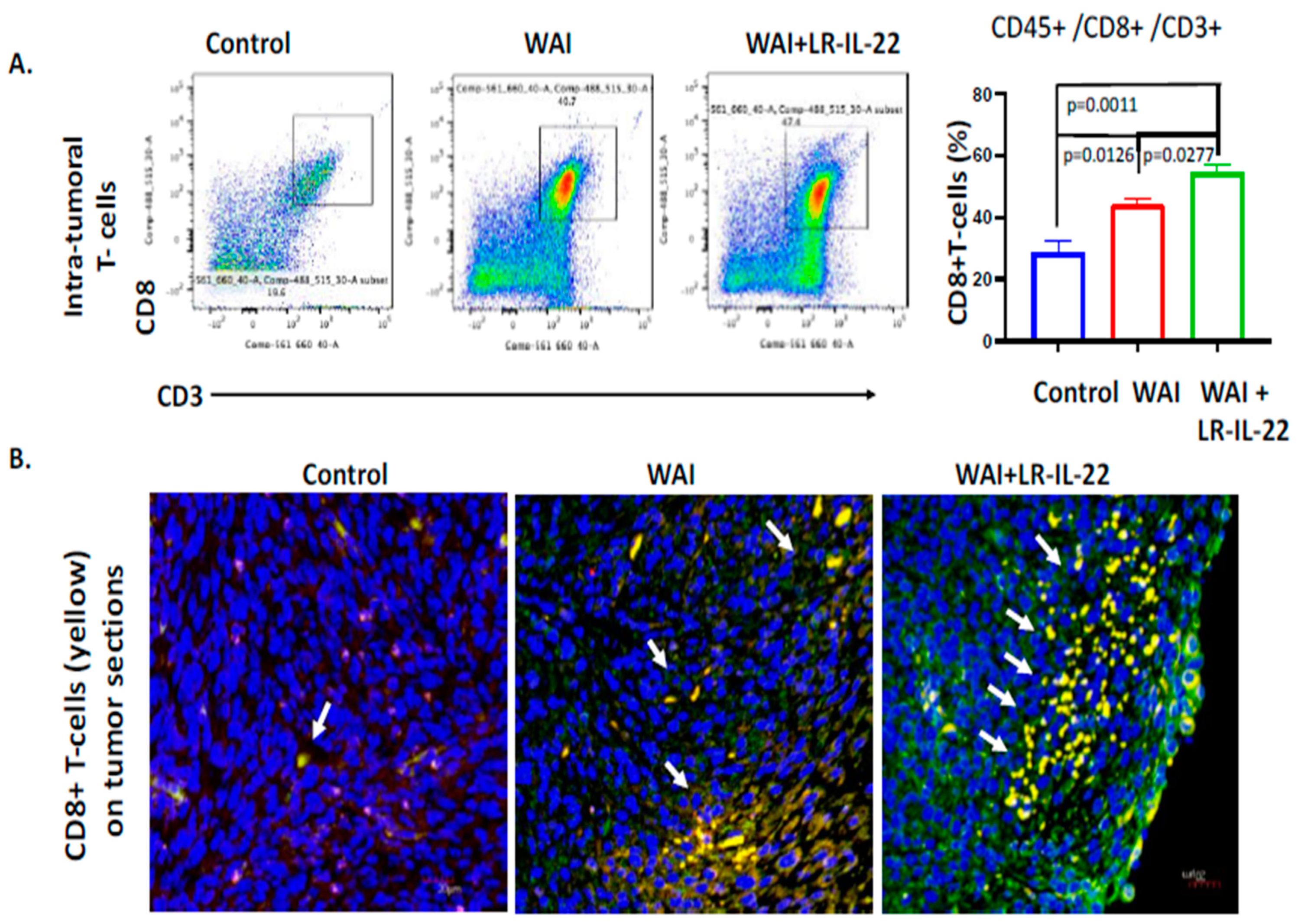 Cancers 16 00474 g006