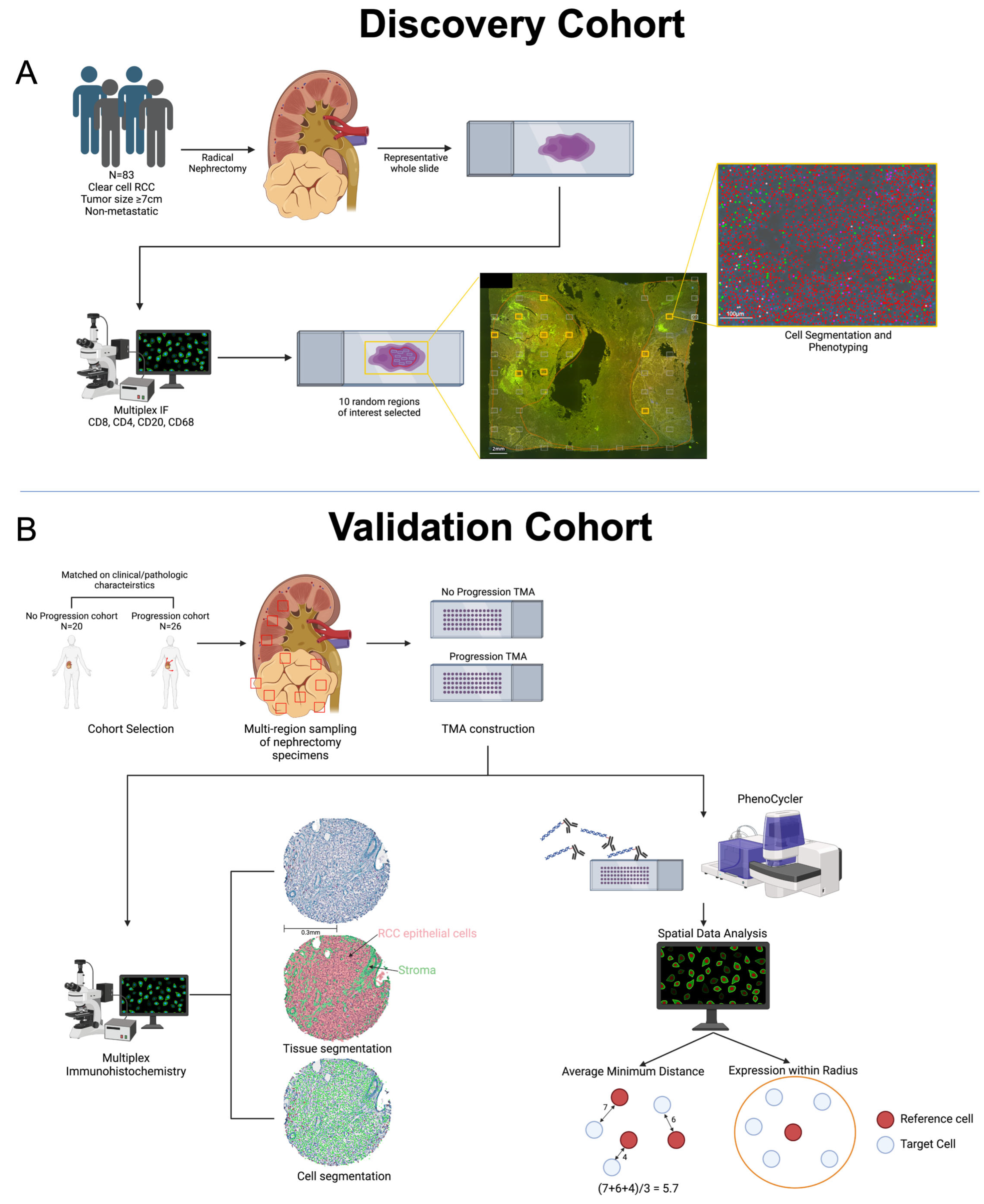 Cancers 16 00478 g001