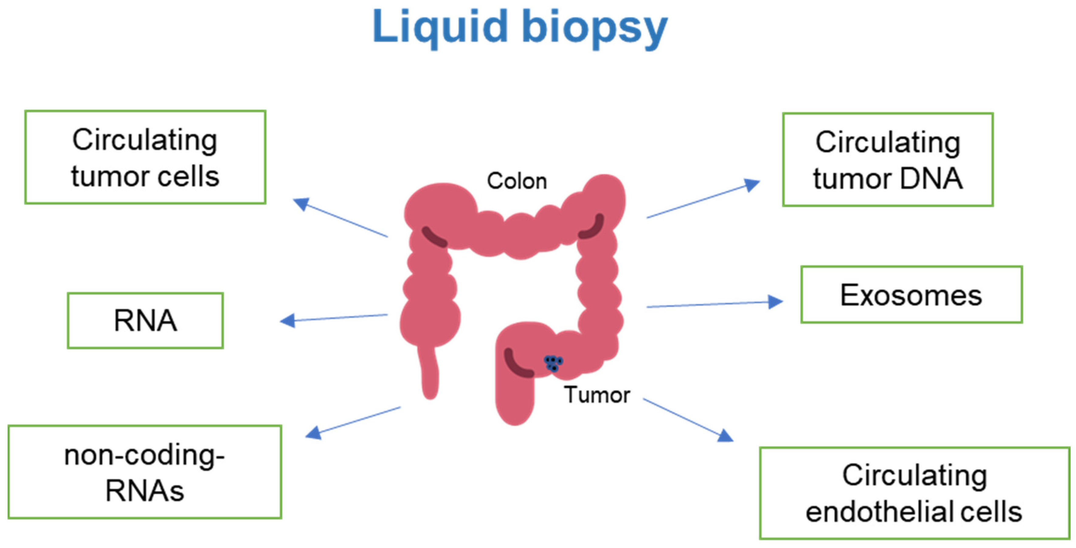 Cancers 16 00480 g001