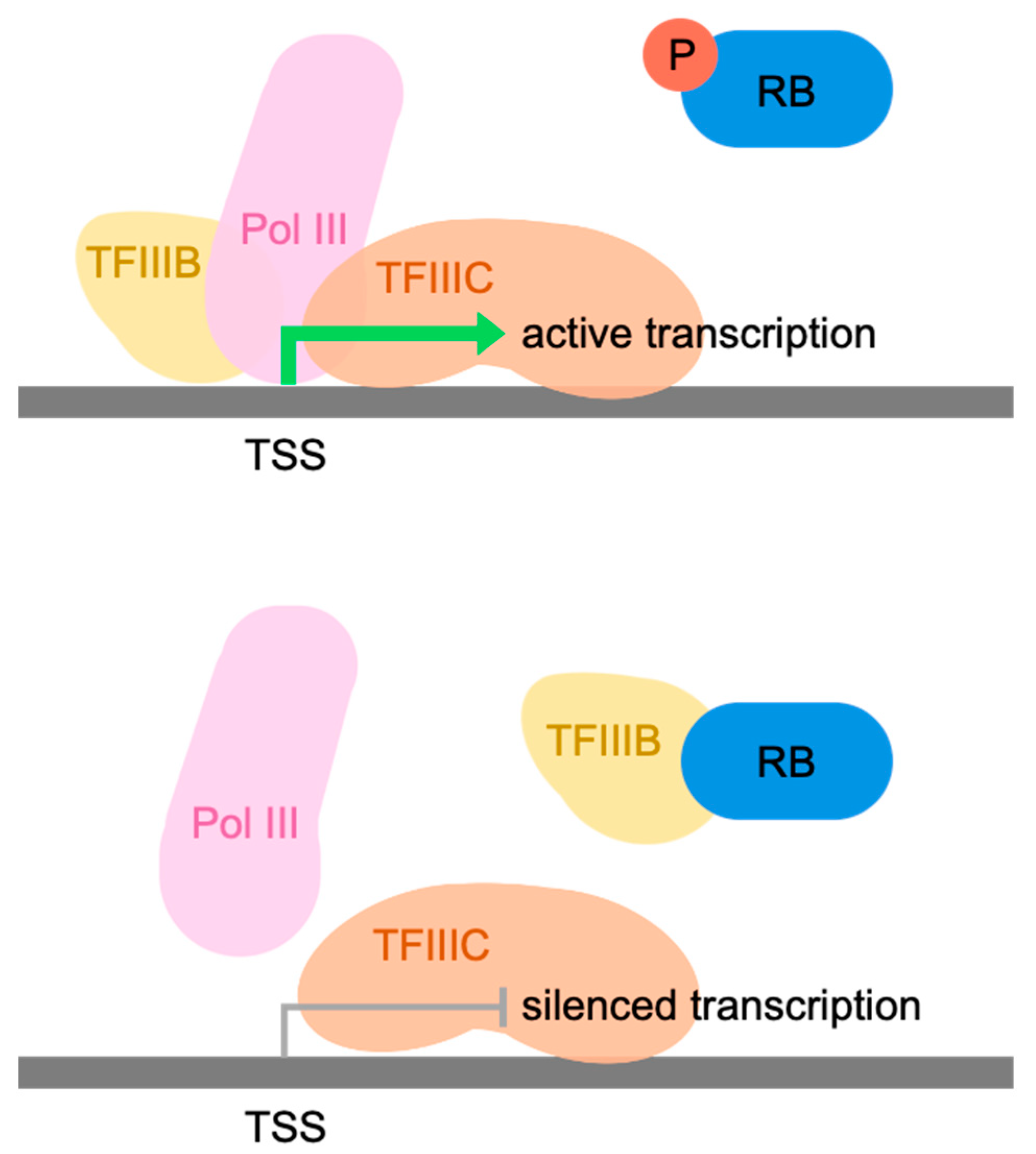 Cancers 16 00481 g001