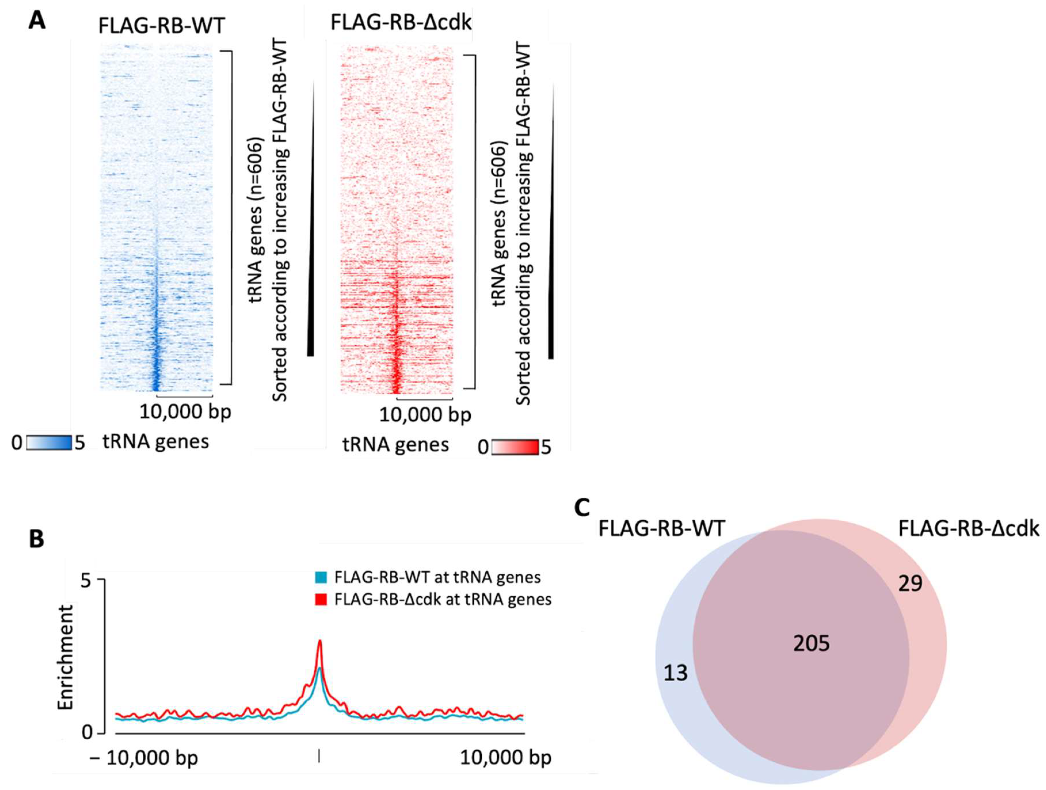 Cancers 16 00481 g004