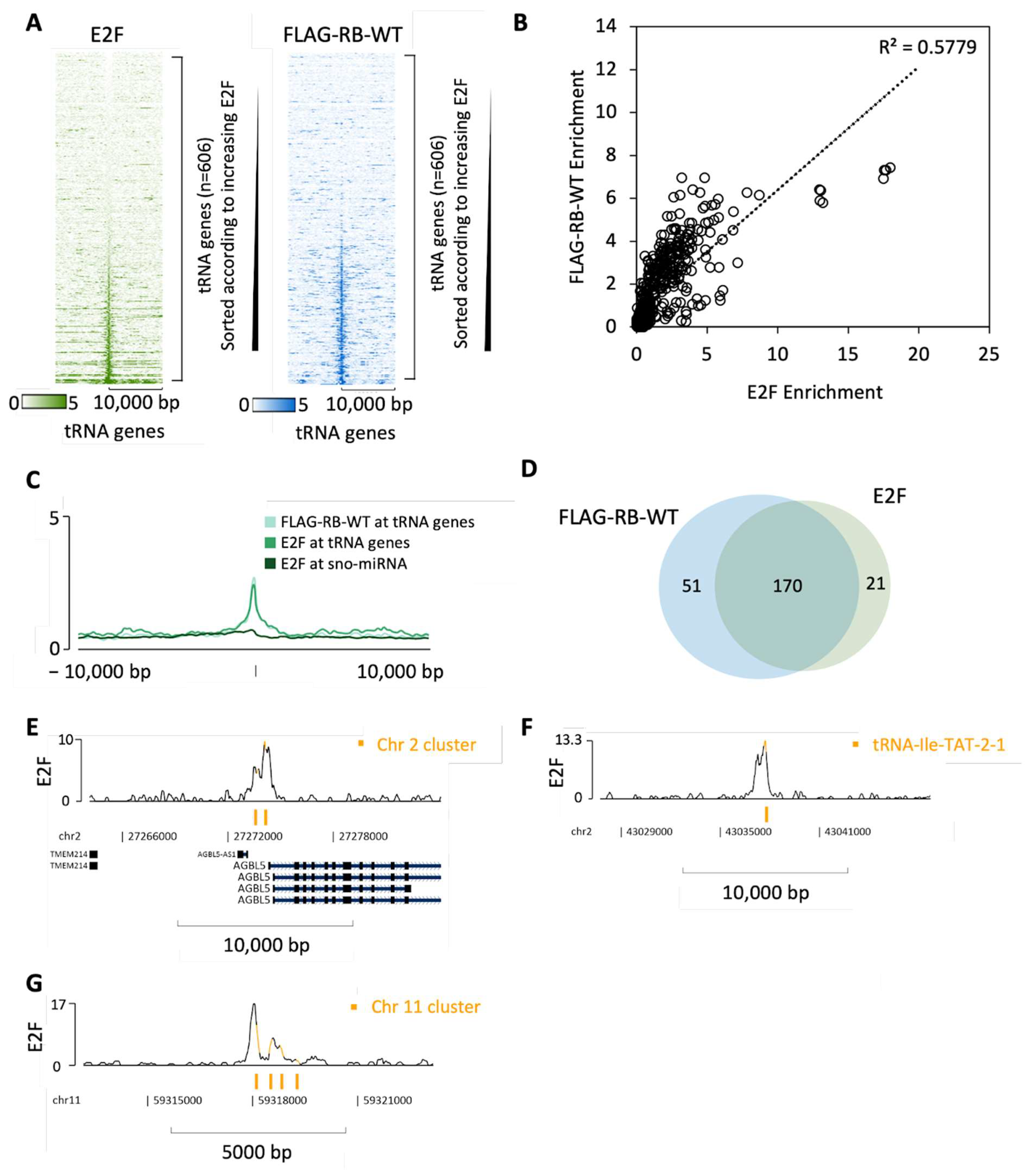 Cancers 16 00481 g006