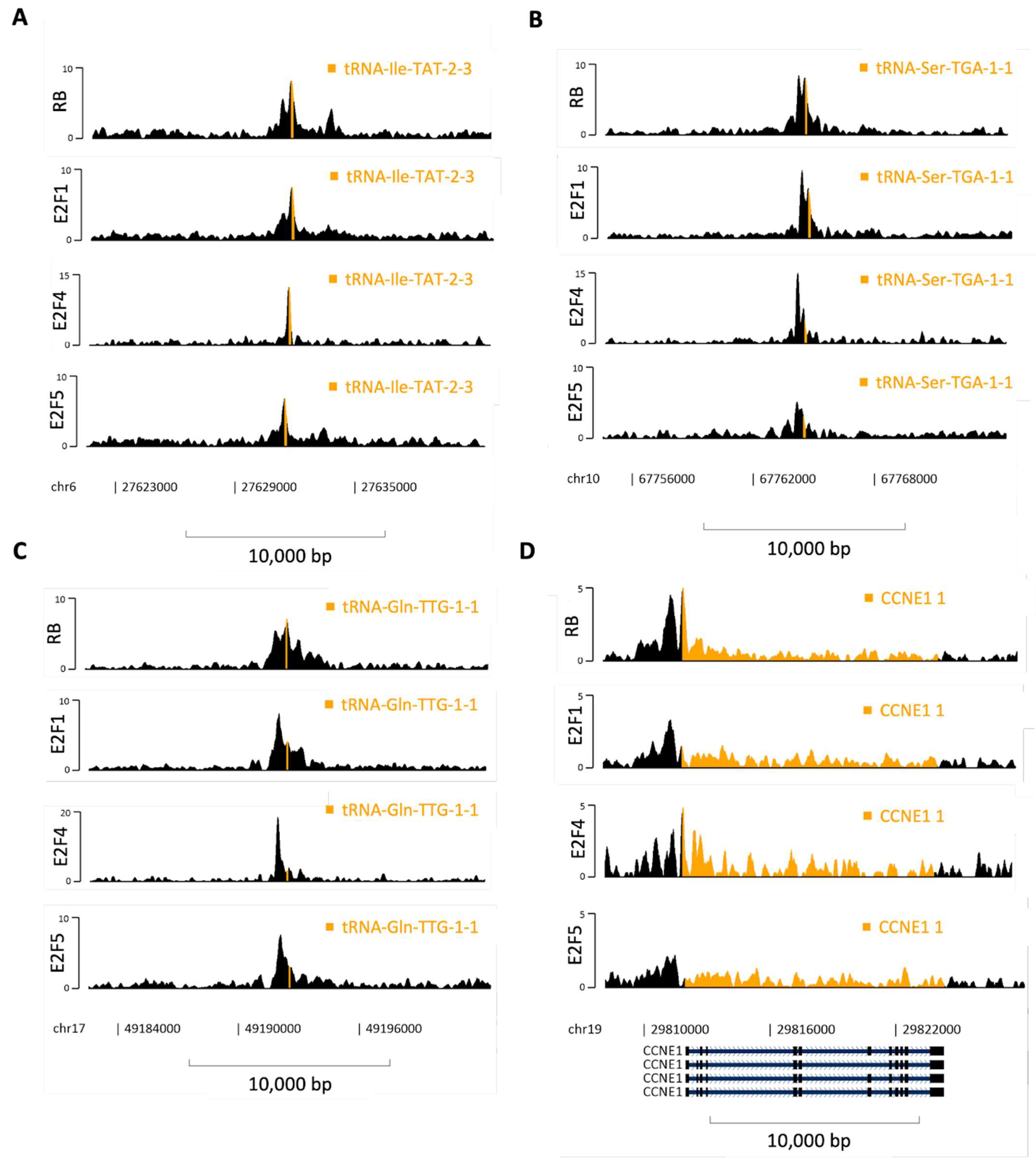 Cancers 16 00481 g008