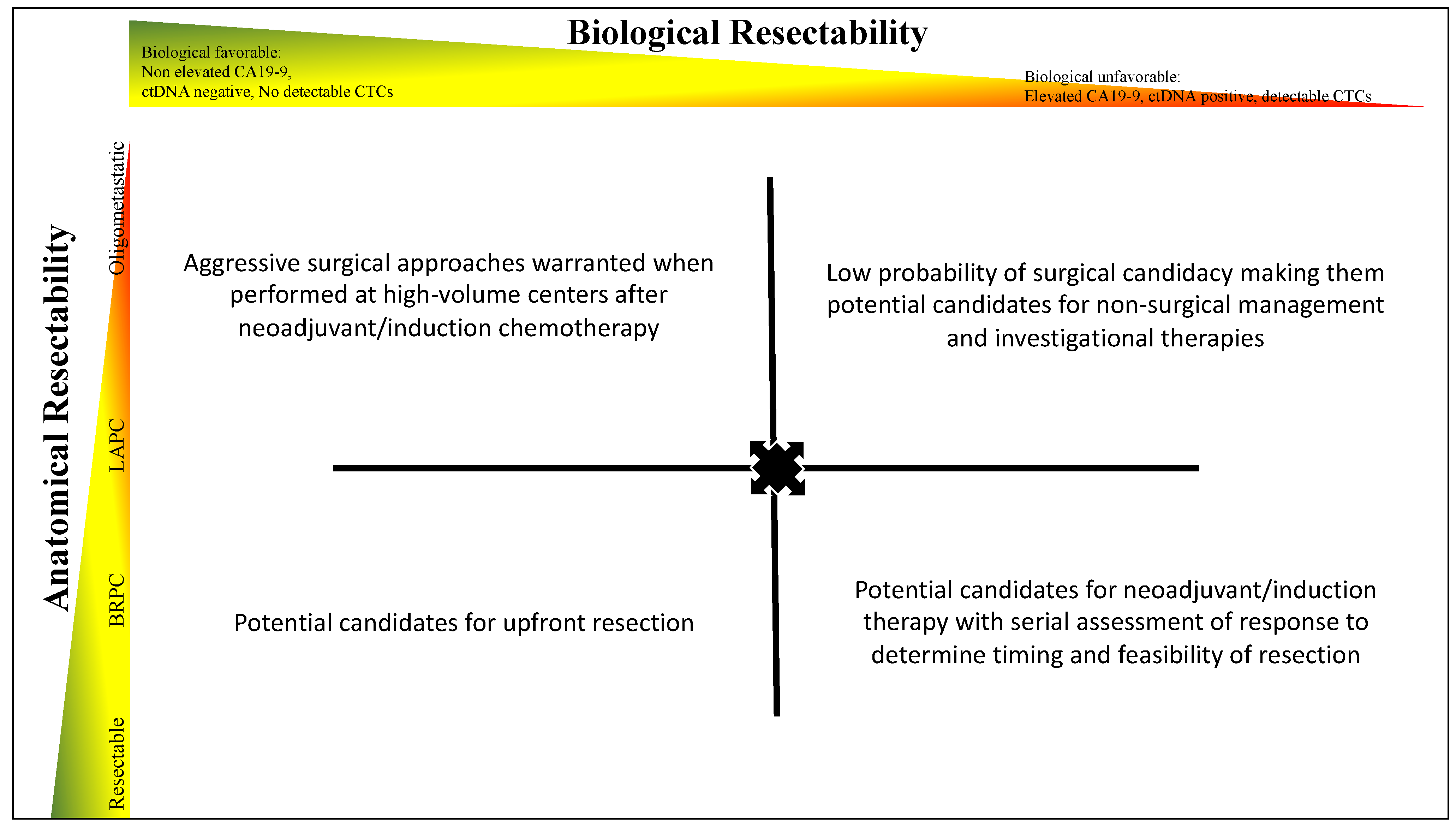 Cancers 16 00489 g001