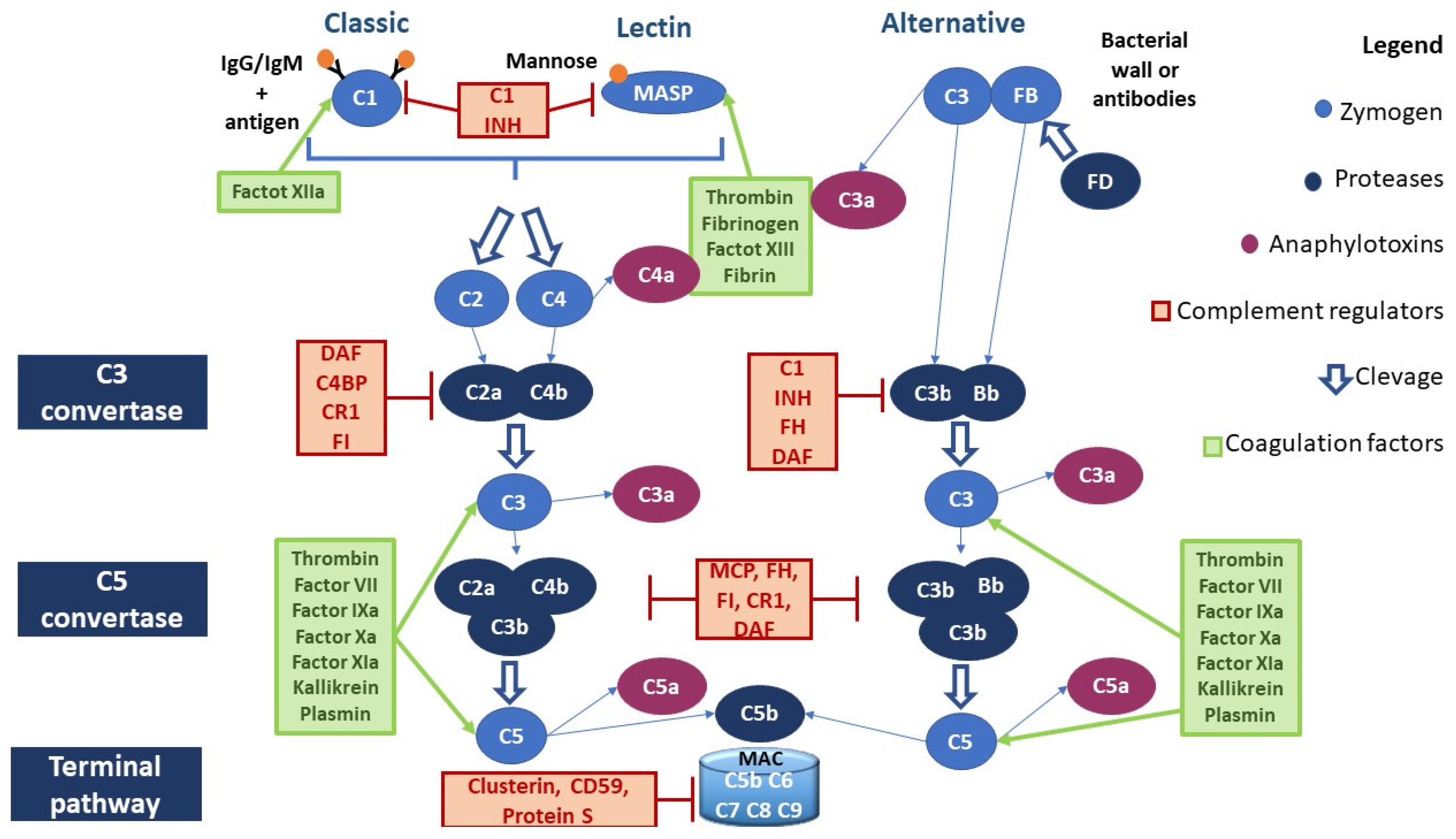 Cancers 16 00490 g001