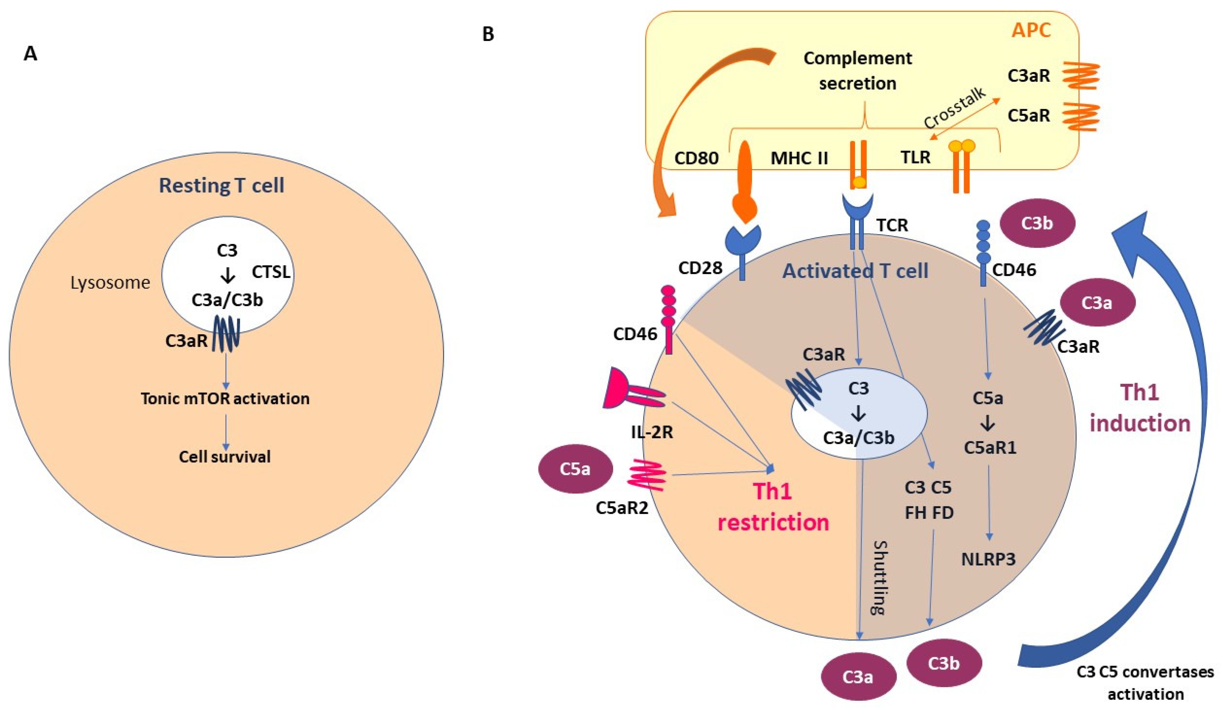 Cancers 16 00490 g002