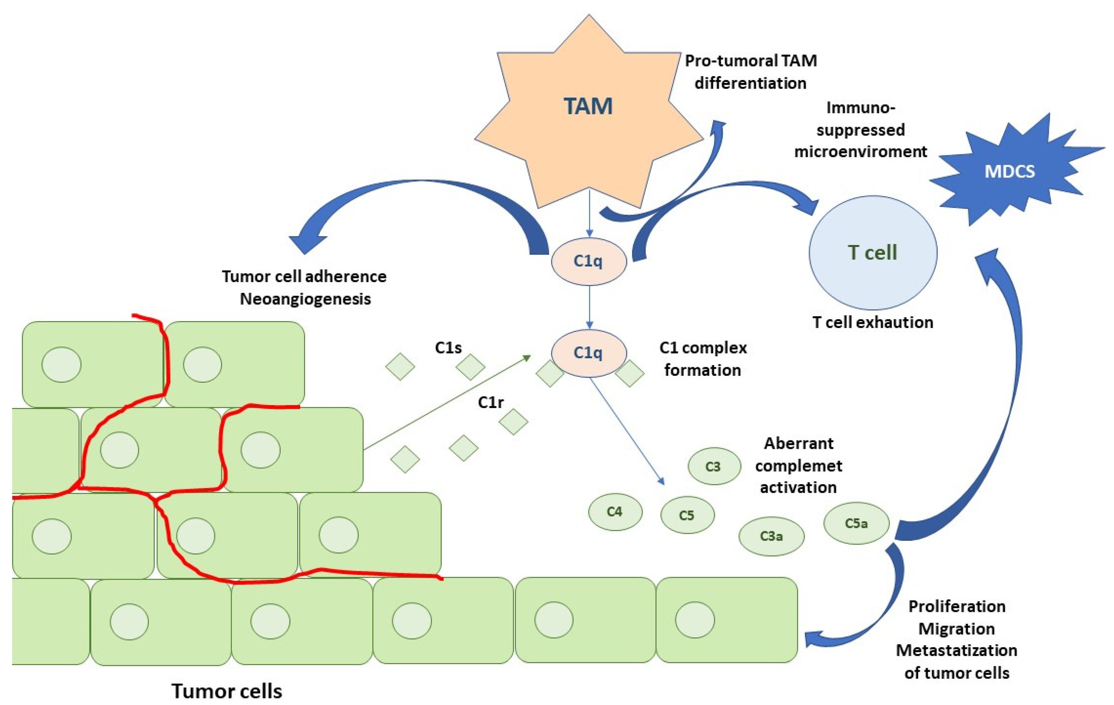 Cancers 16 00490 g003