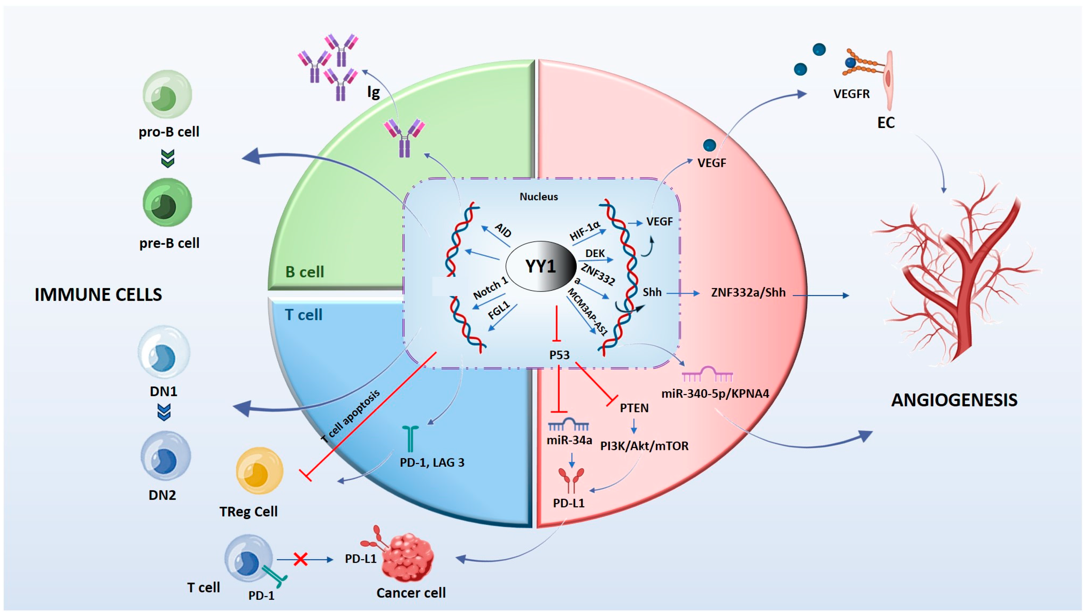 Cancers 16 00491 g003