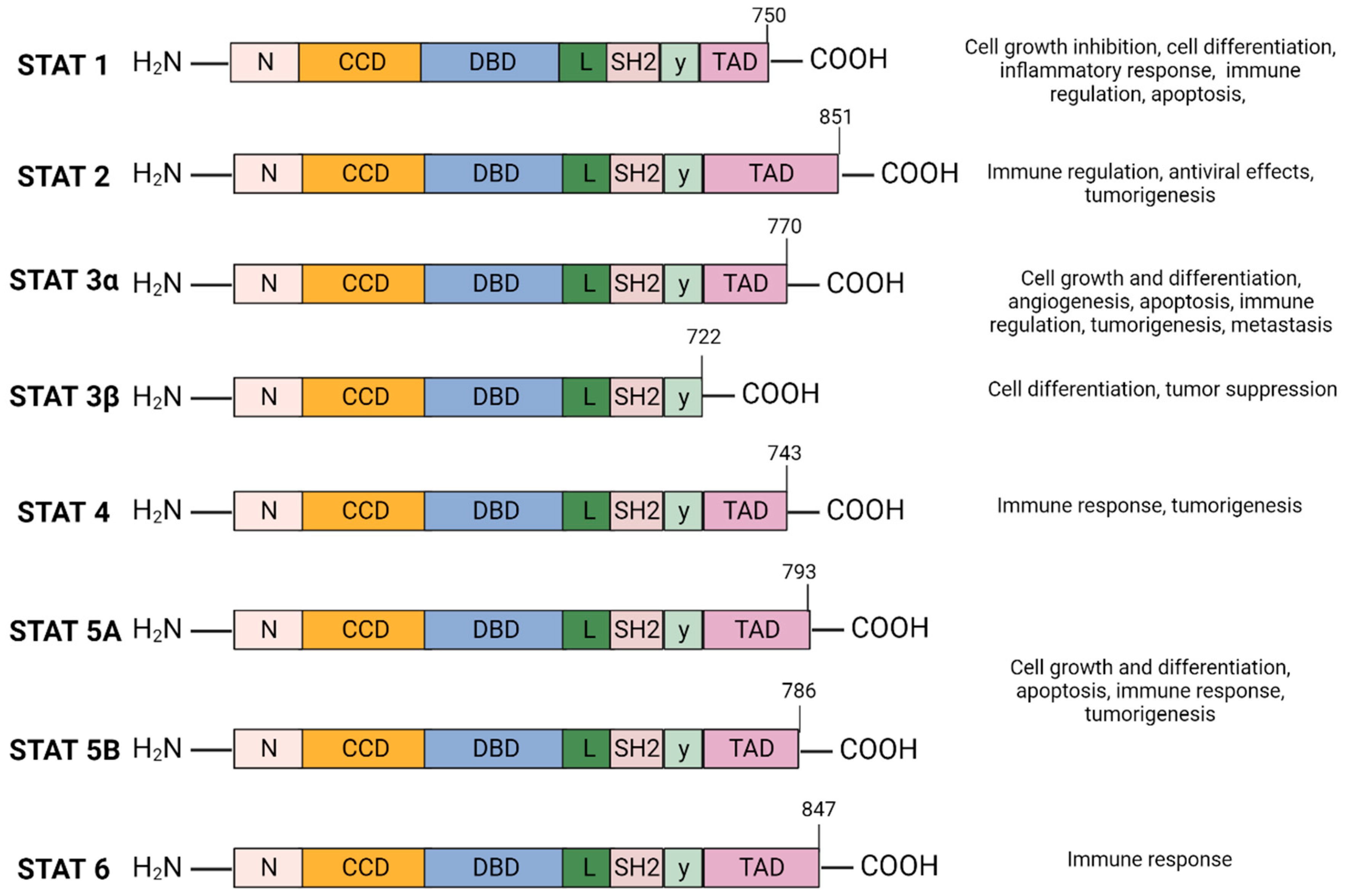 Cancers 16 00492 g001 Cancers 16 00492 g001