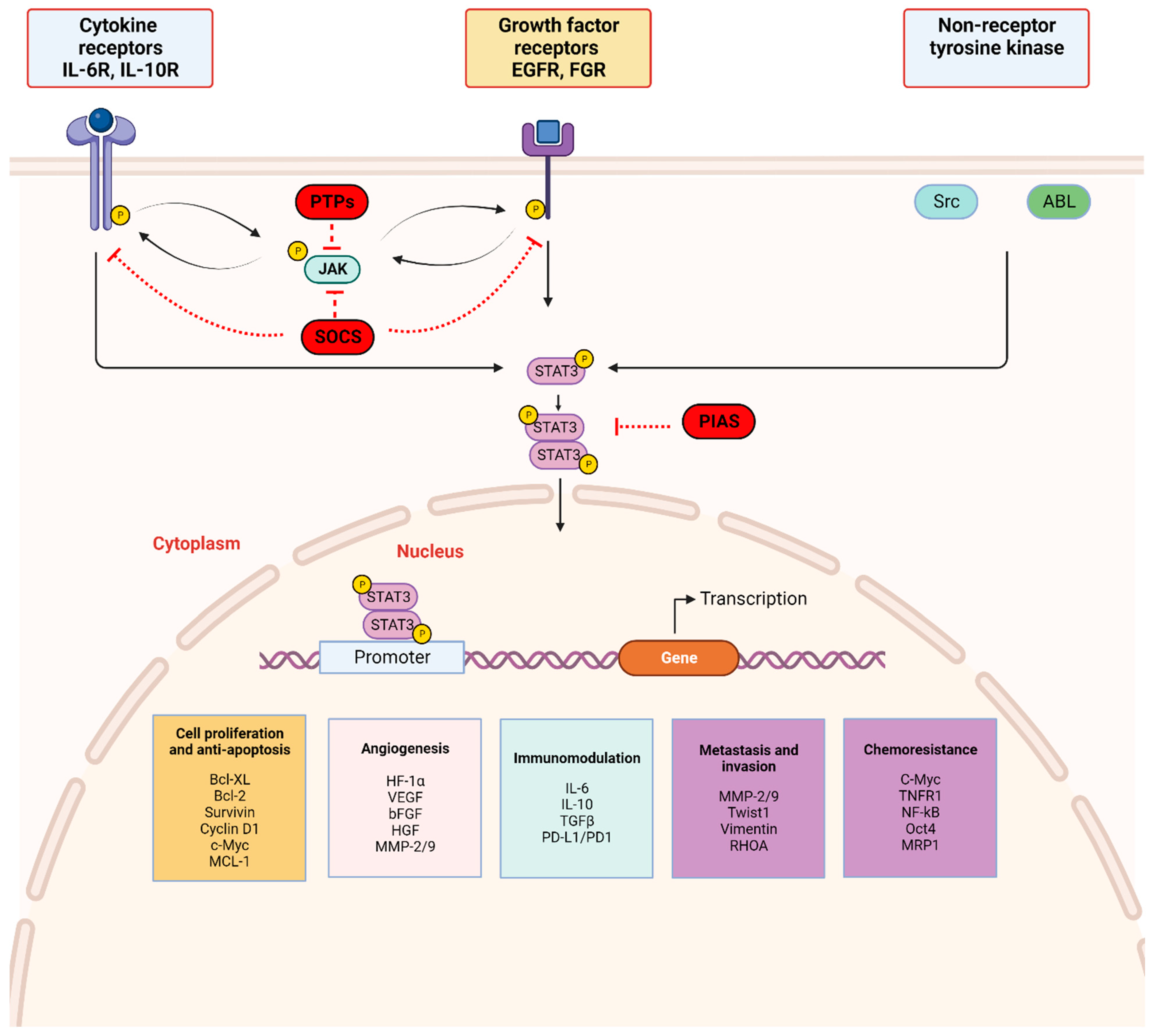 Cancers 16 00492 g002 Cancers 16 00492 g002