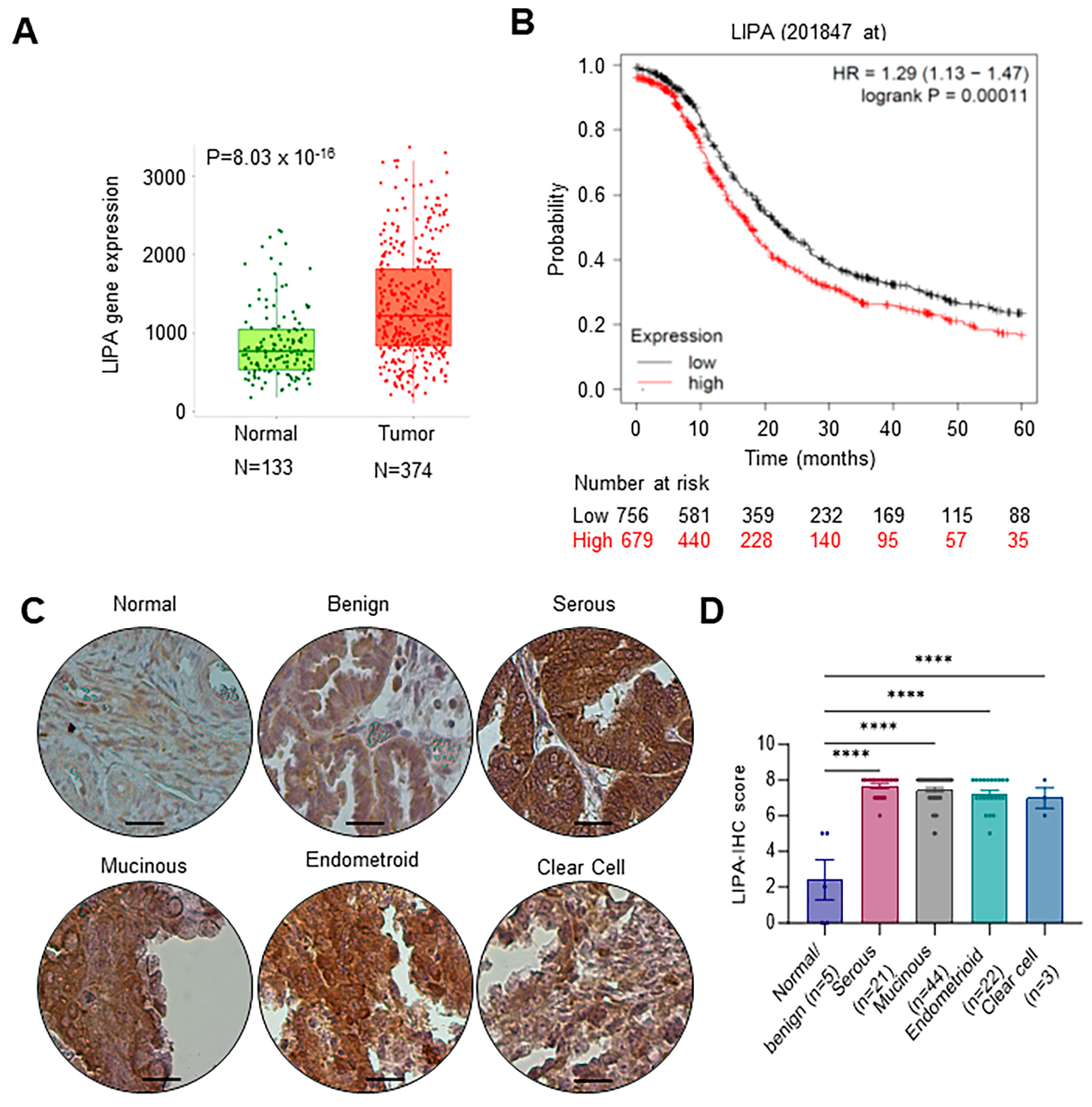 Cancers 16 00500 g001