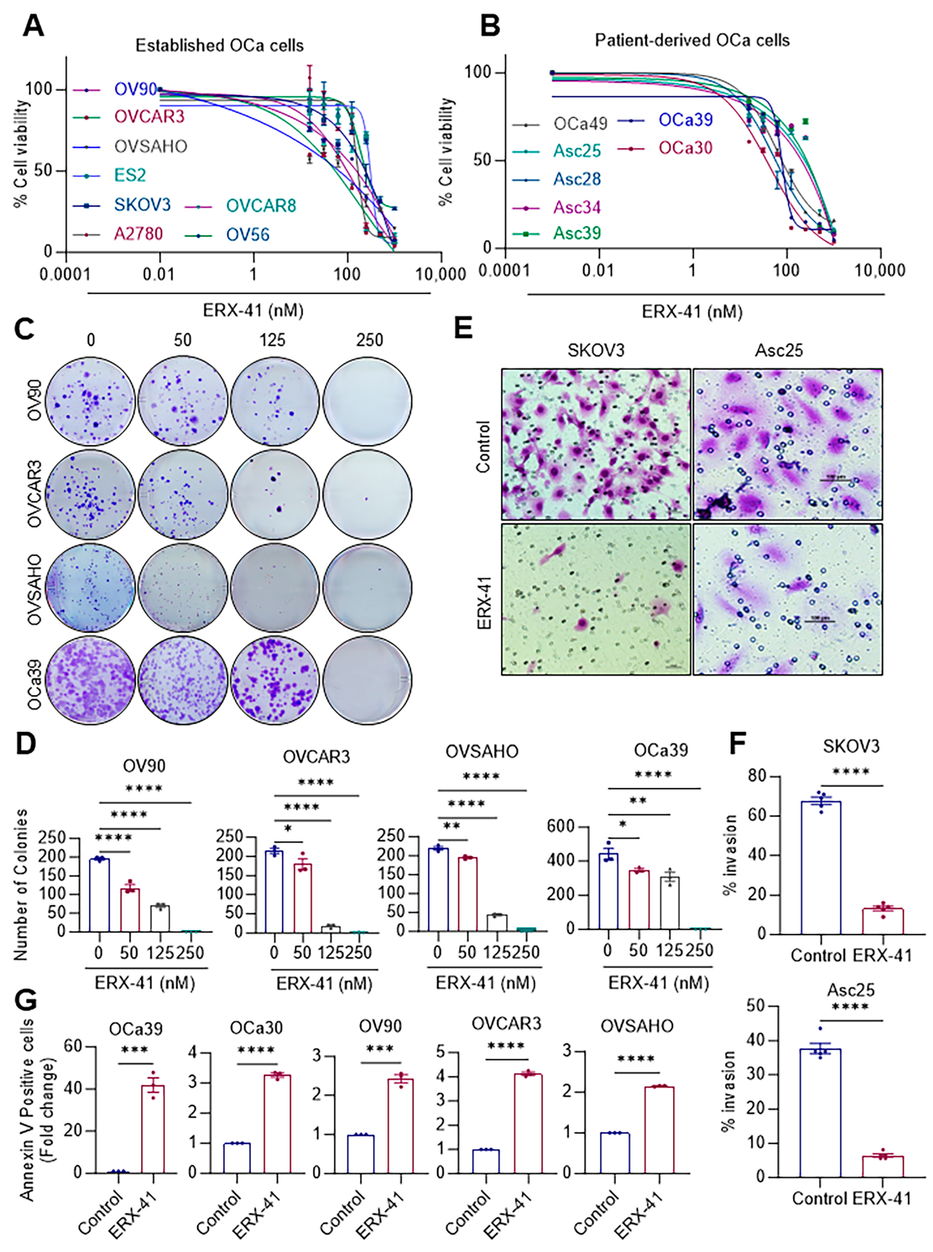 Cancers 16 00500 g002
