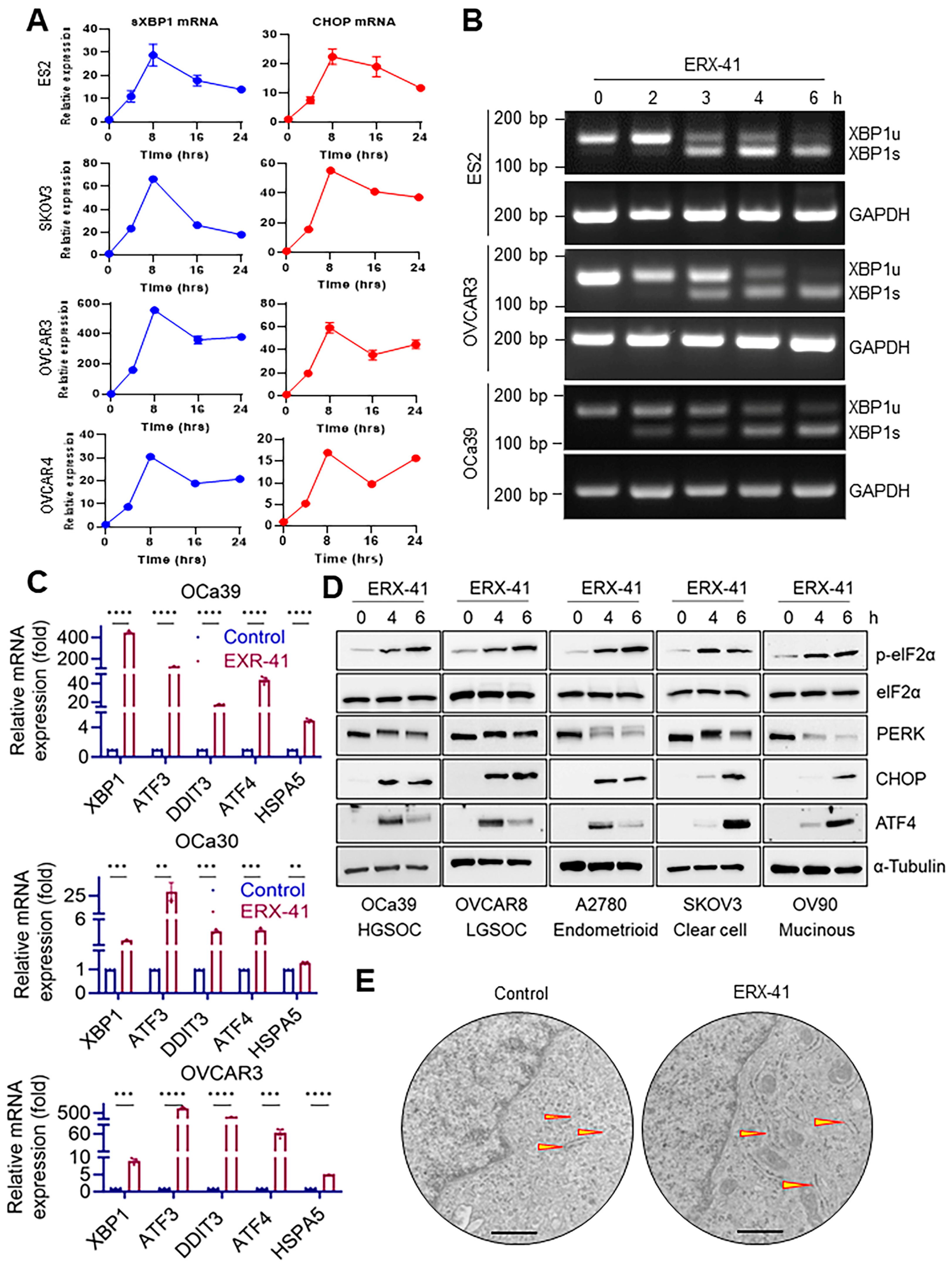 Cancers 16 00500 g003