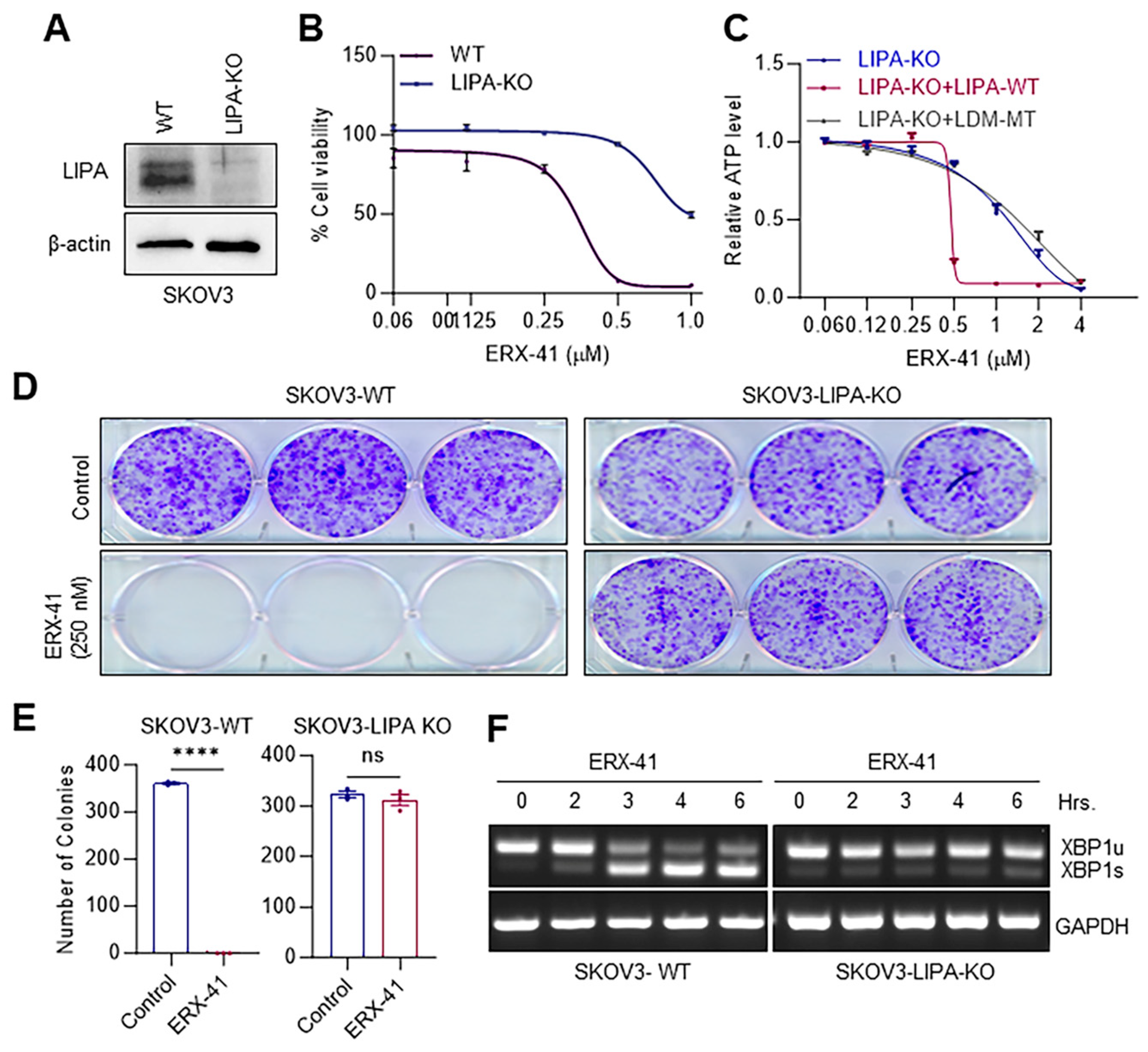 Cancers 16 00500 g004