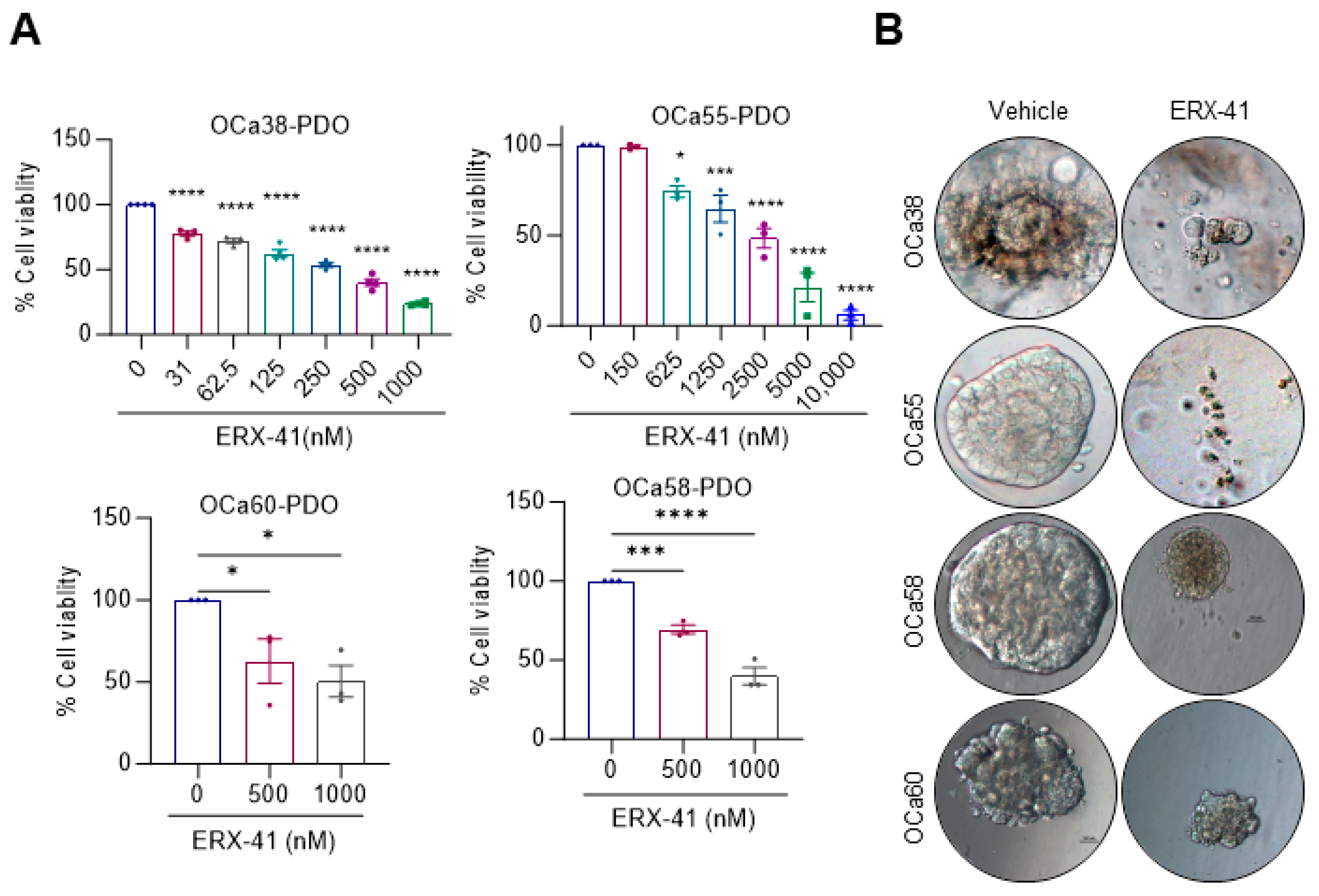 Cancers 16 00500 g005