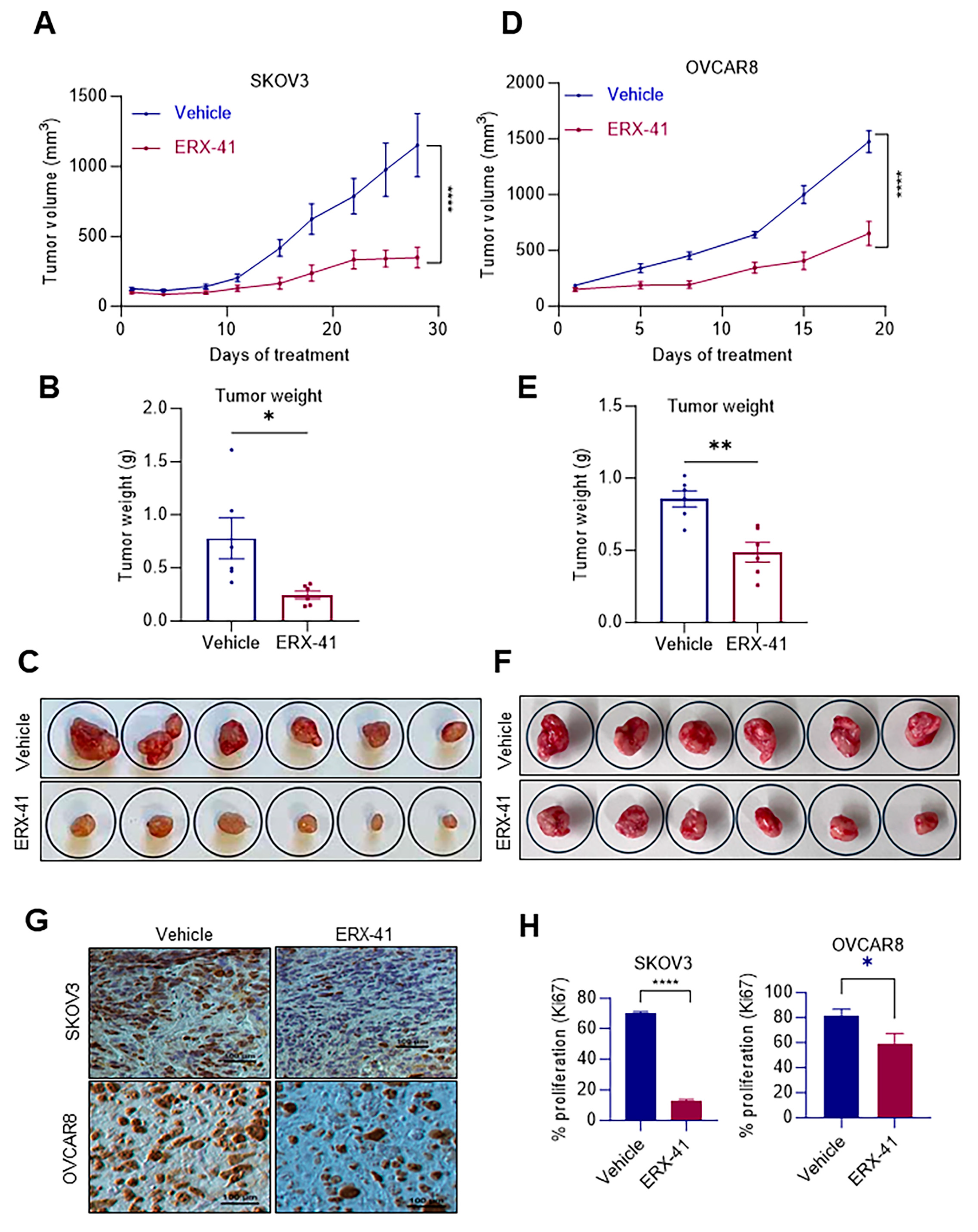 Cancers 16 00500 g006