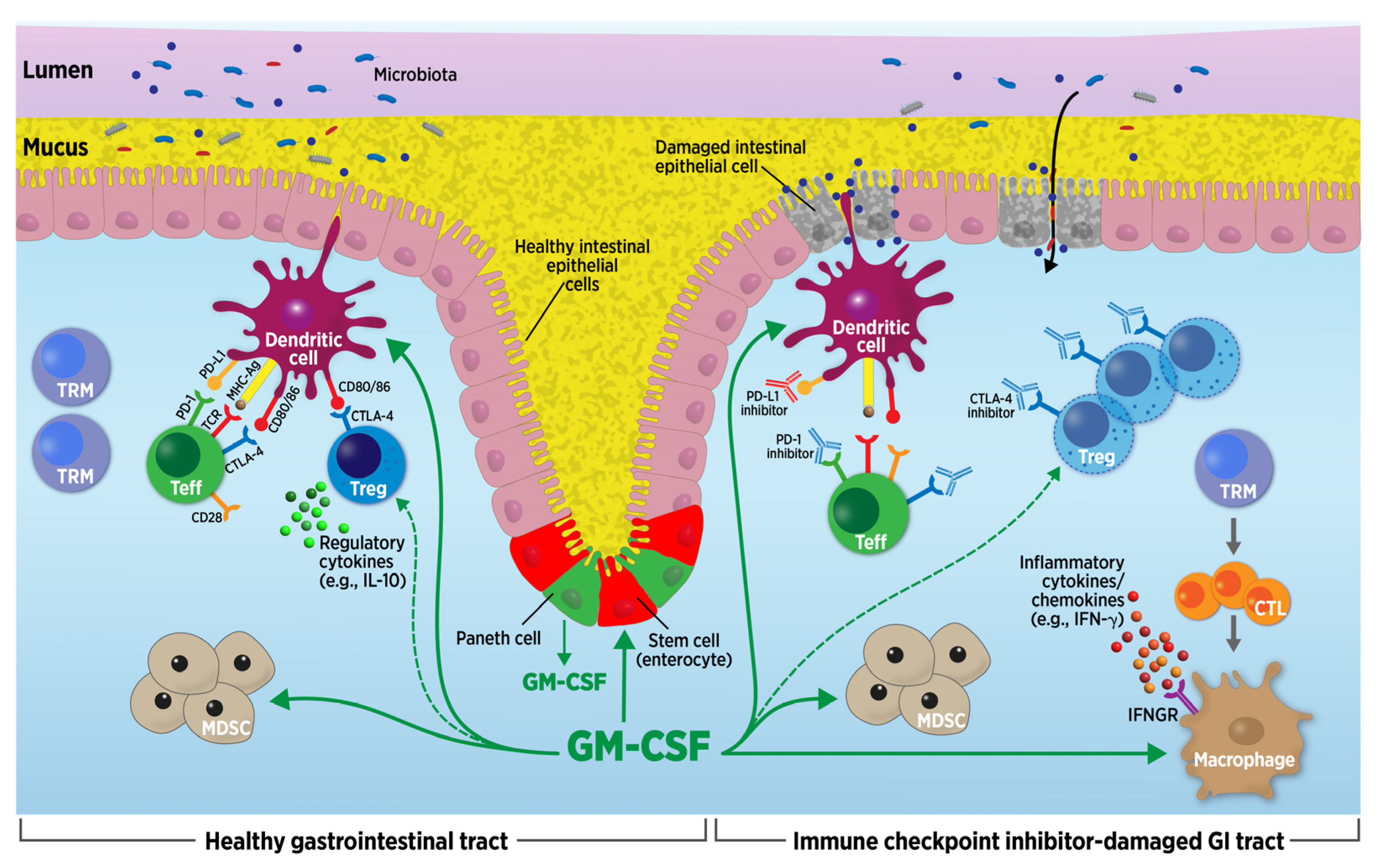Cancers 16 00501 g001 Cancers 16 00501 g001