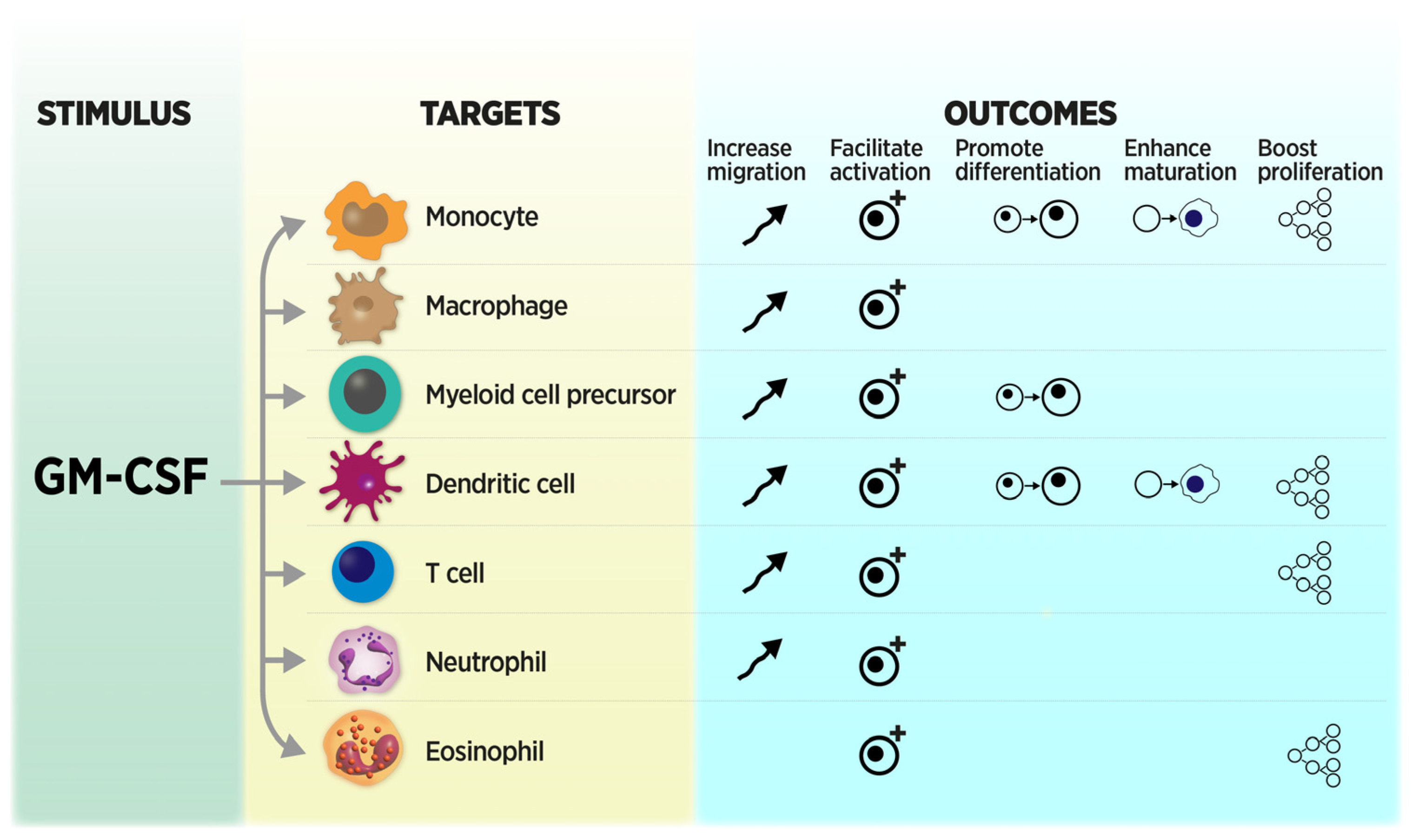 Cancers 16 00501 g003 Cancers 16 00501 g003