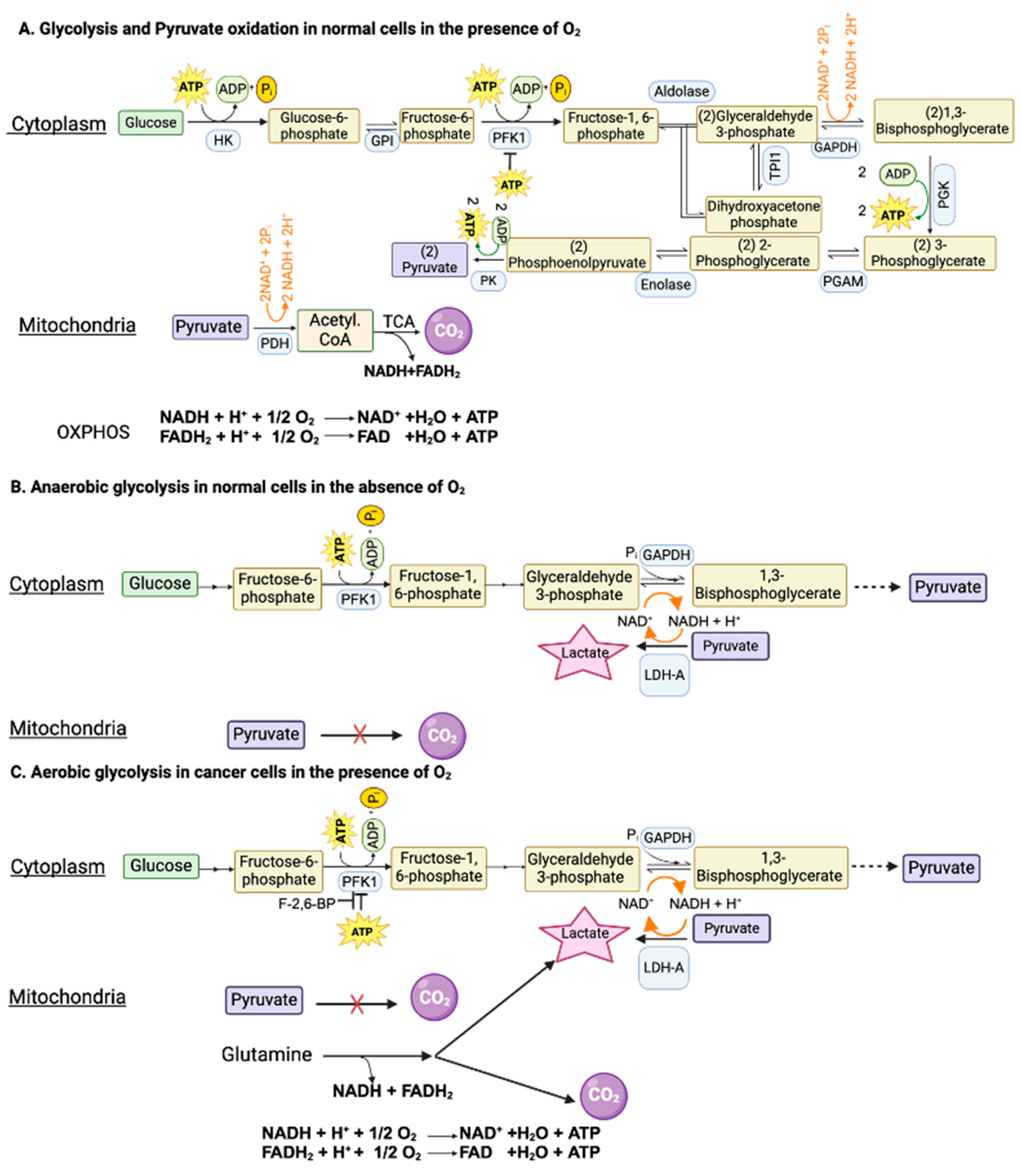 Cancers 16 00504 g001