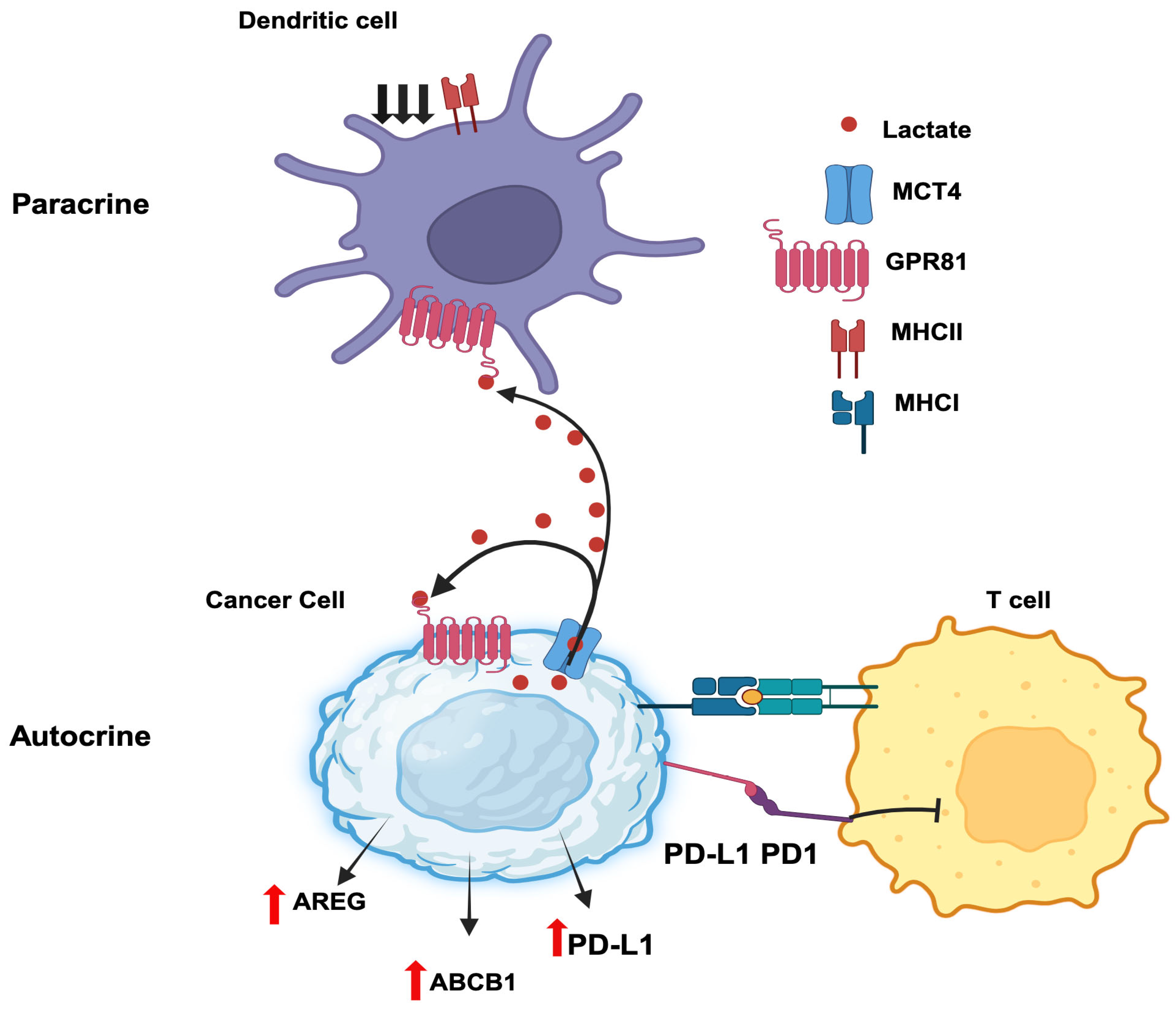 Cancers 16 00504 g003