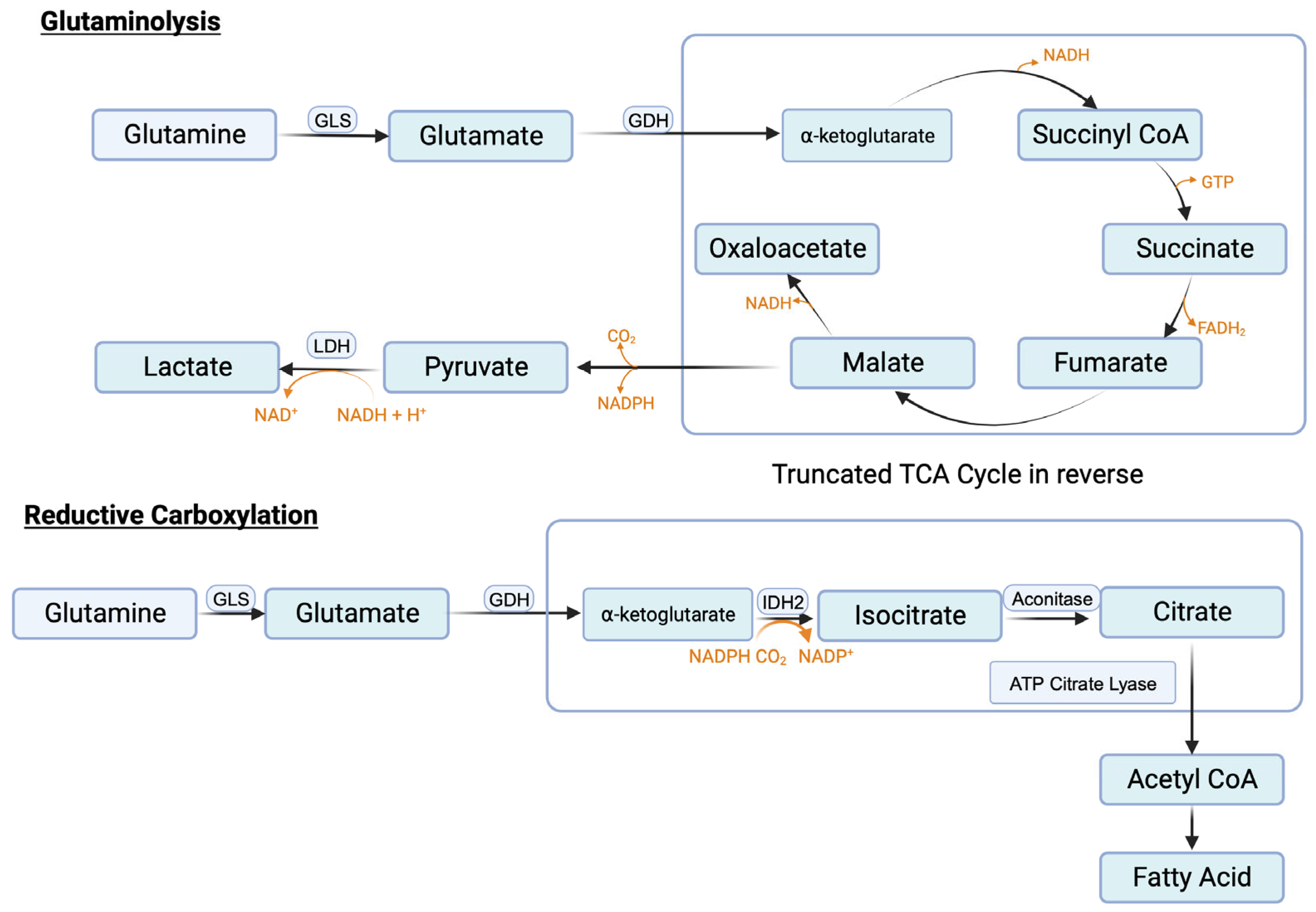 Cancers 16 00504 g004