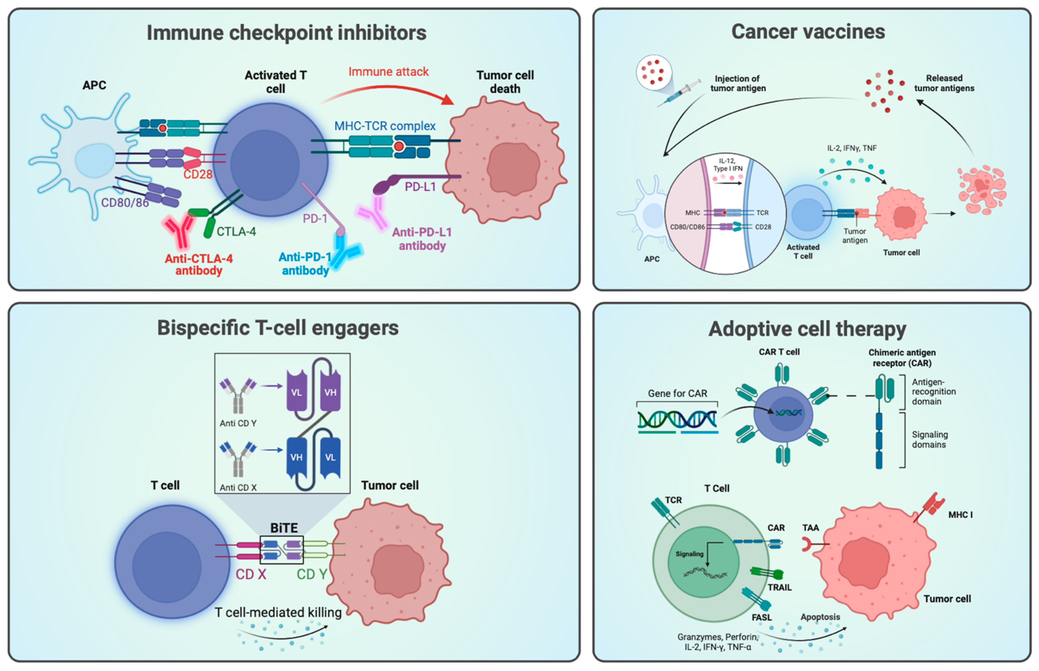 Cancers 16 00505 g001 Cancers 16 00505 g001