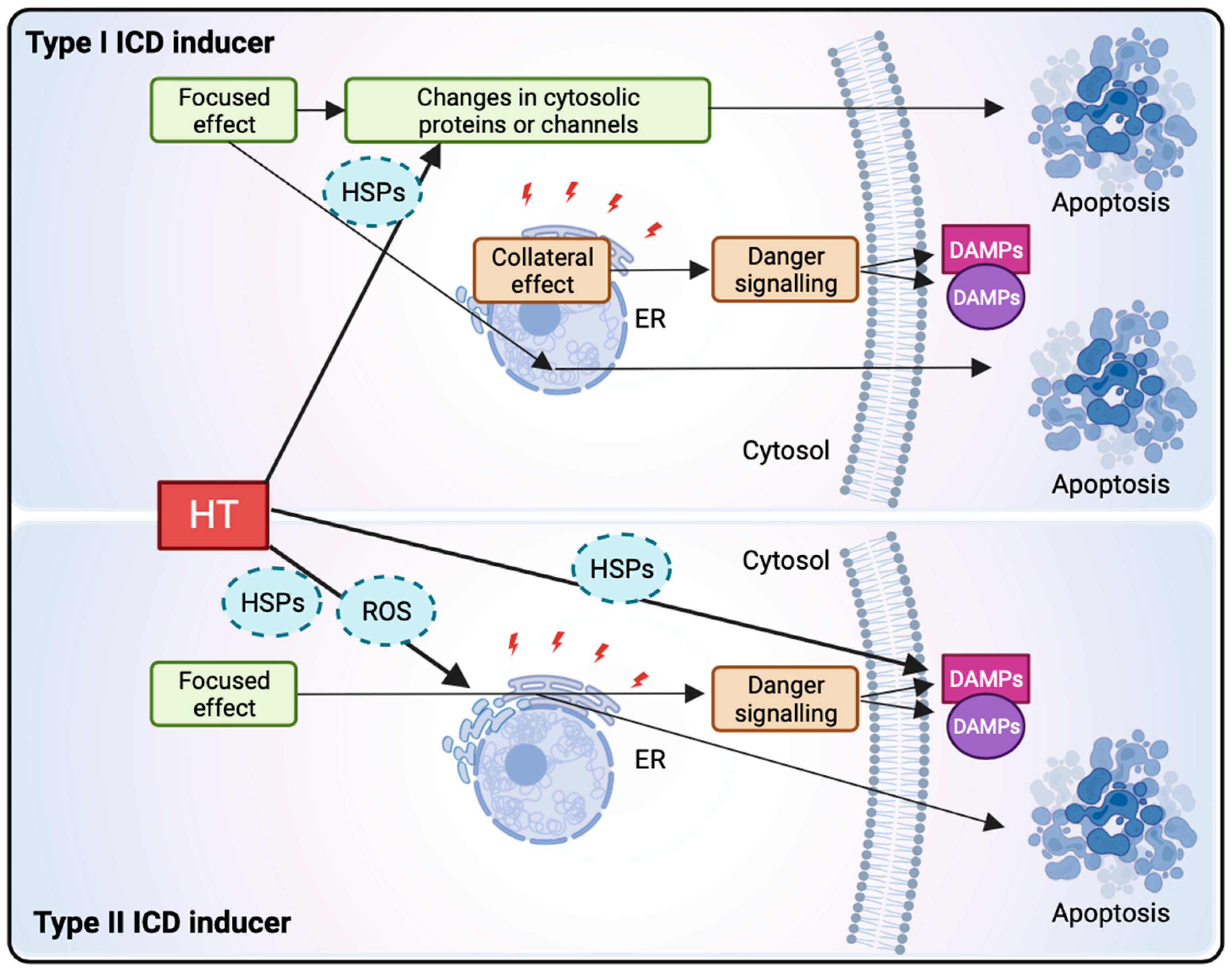 Cancers 16 00505 g003 Cancers 16 00505 g003
