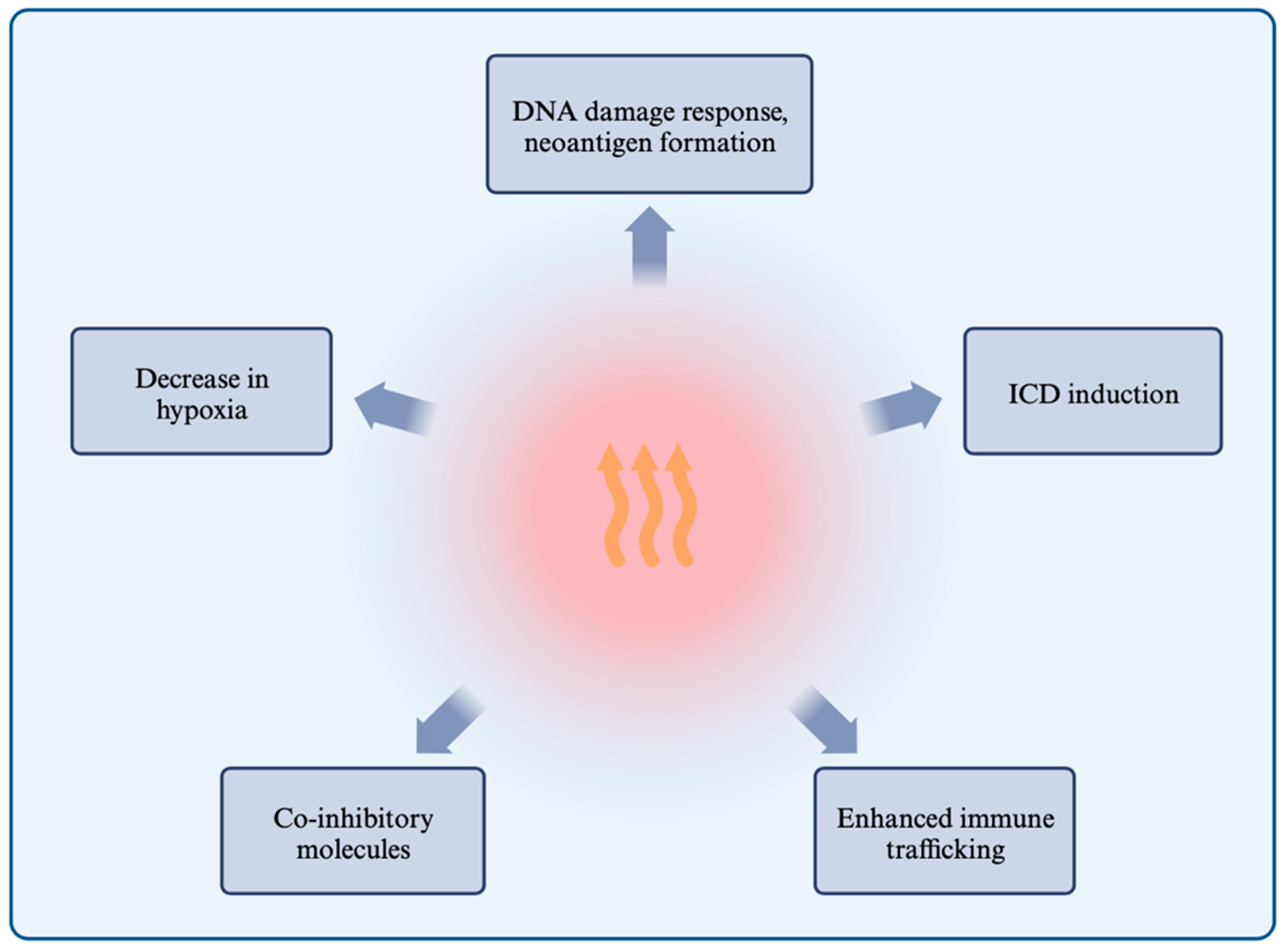 Cancers 16 00505 g004 Cancers 16 00505 g004
