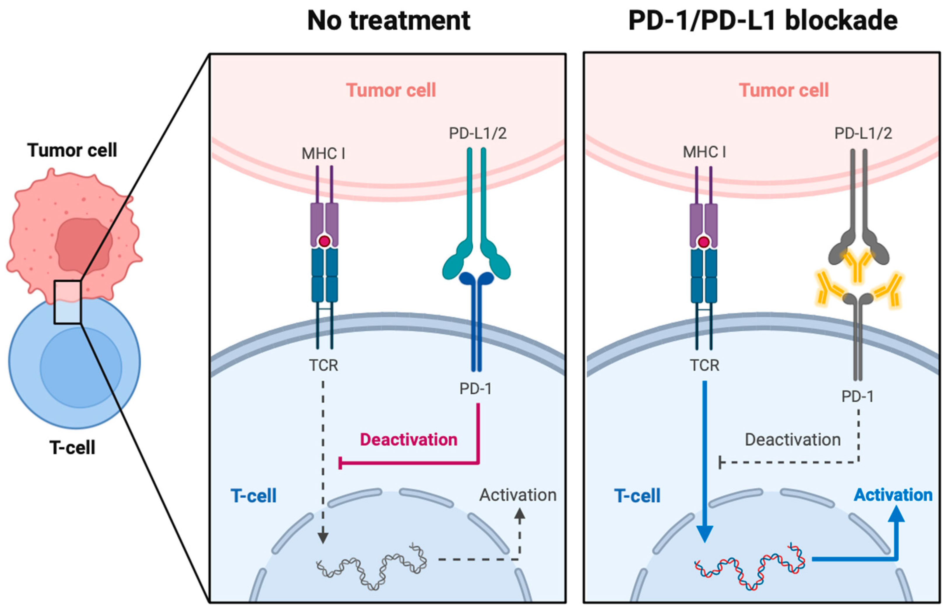 Cancers 16 00505 g006 Cancers 16 00505 g006