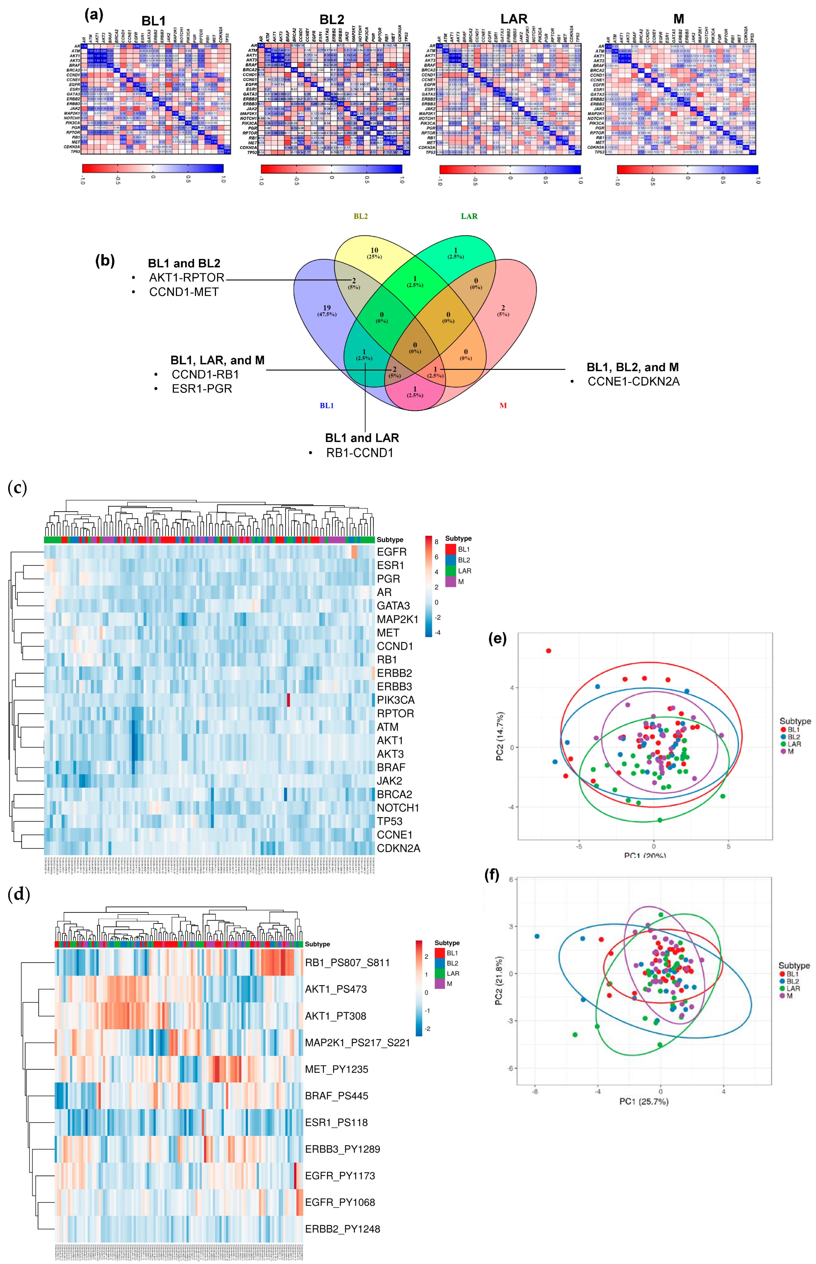 Cancers 16 00516 g001