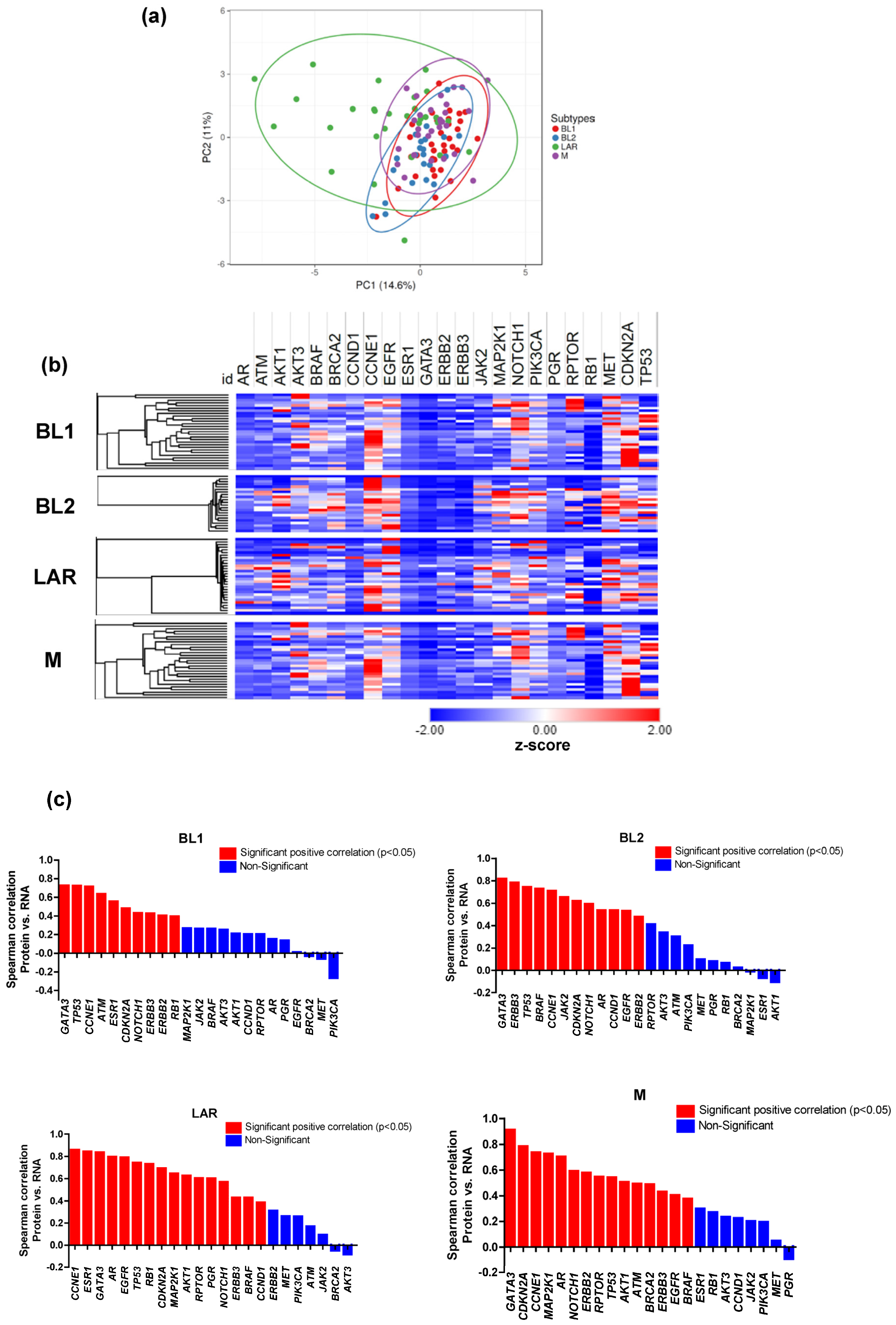 Cancers 16 00516 g003