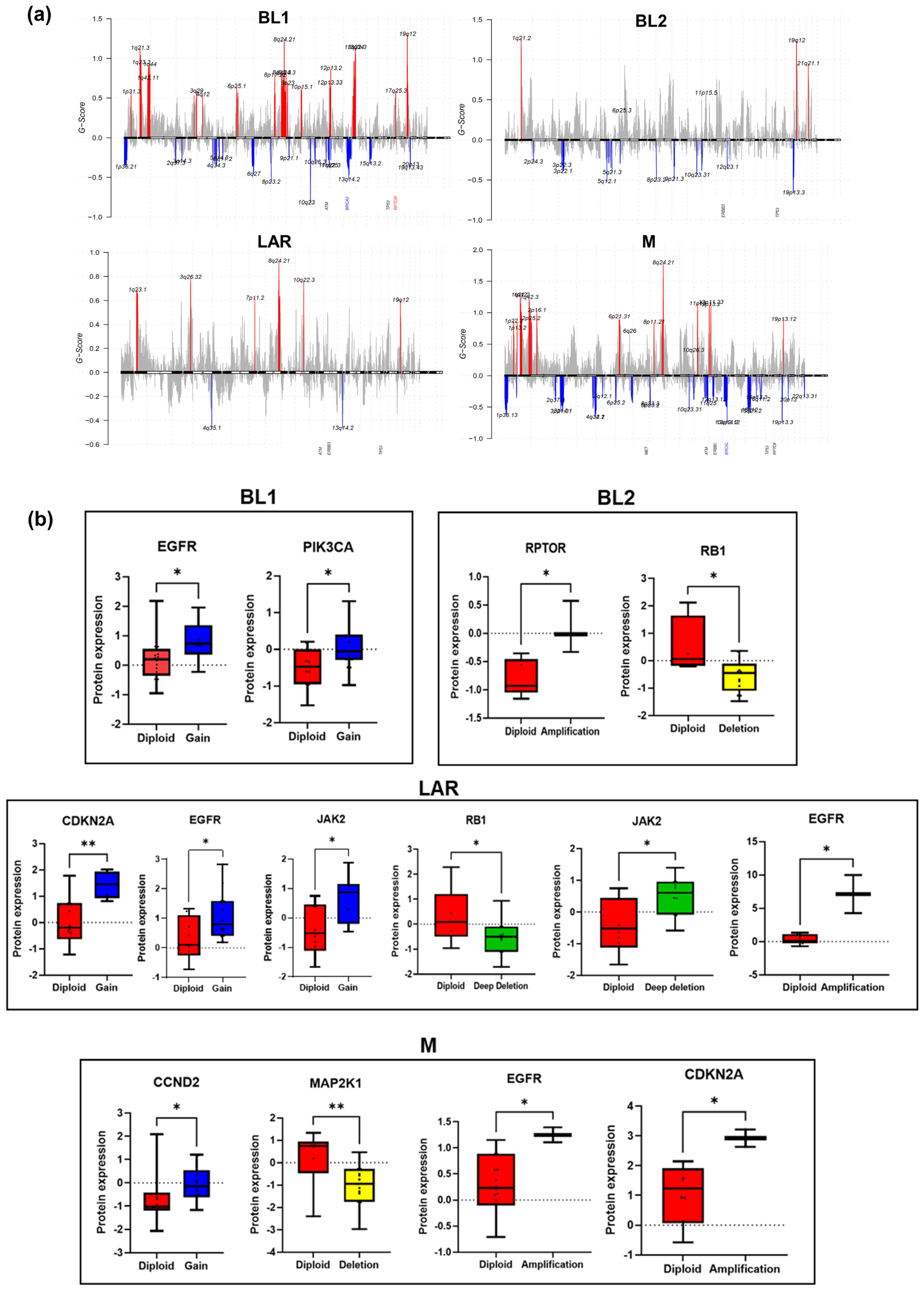 Cancers 16 00516 g004