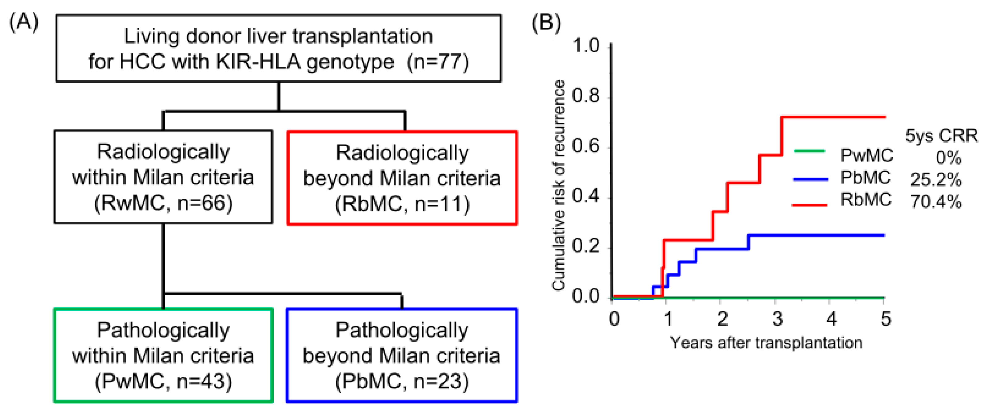 Cancers 16 00533 g001