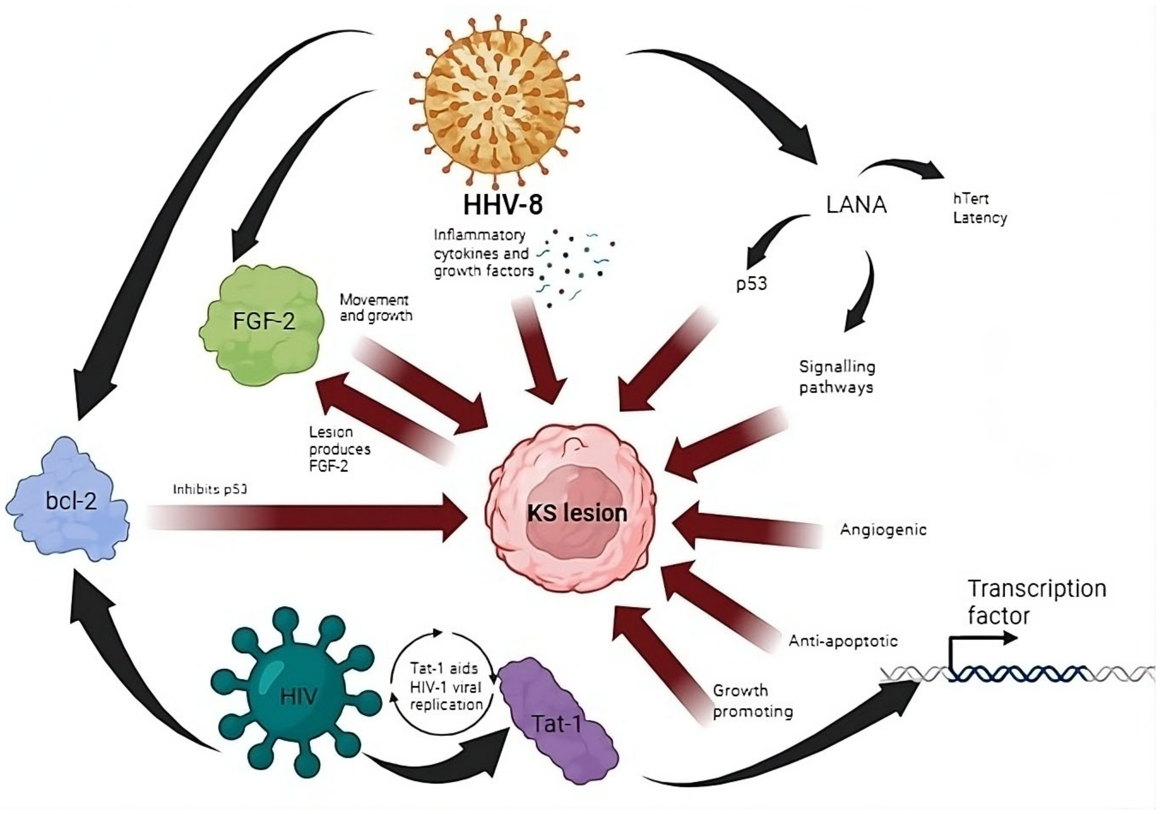 Cancers 16 00546 g001
