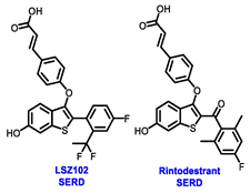 Cancers 16 00552 i005