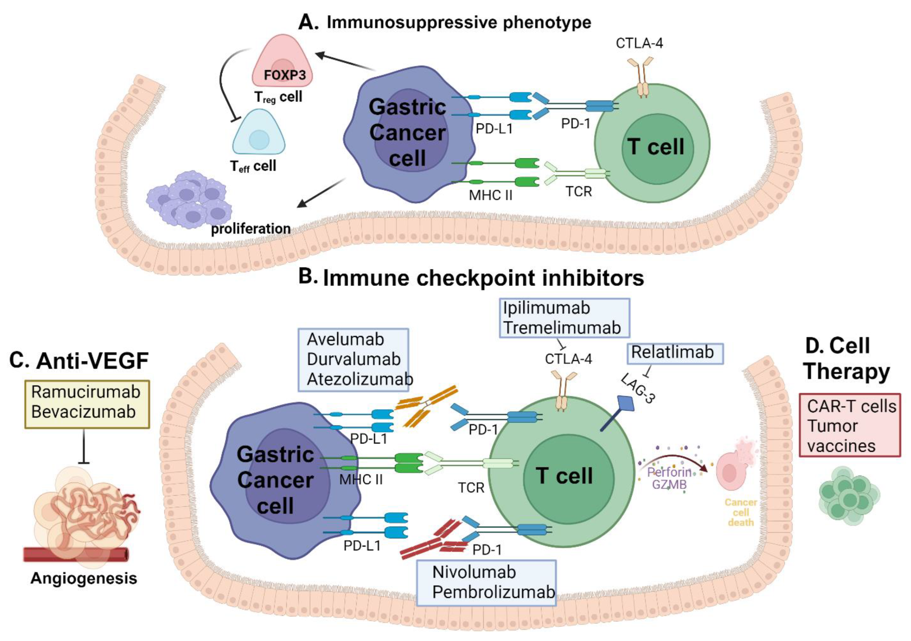 Cancers 16 00560 g001