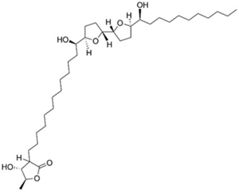 Cancers 16 00573 g001