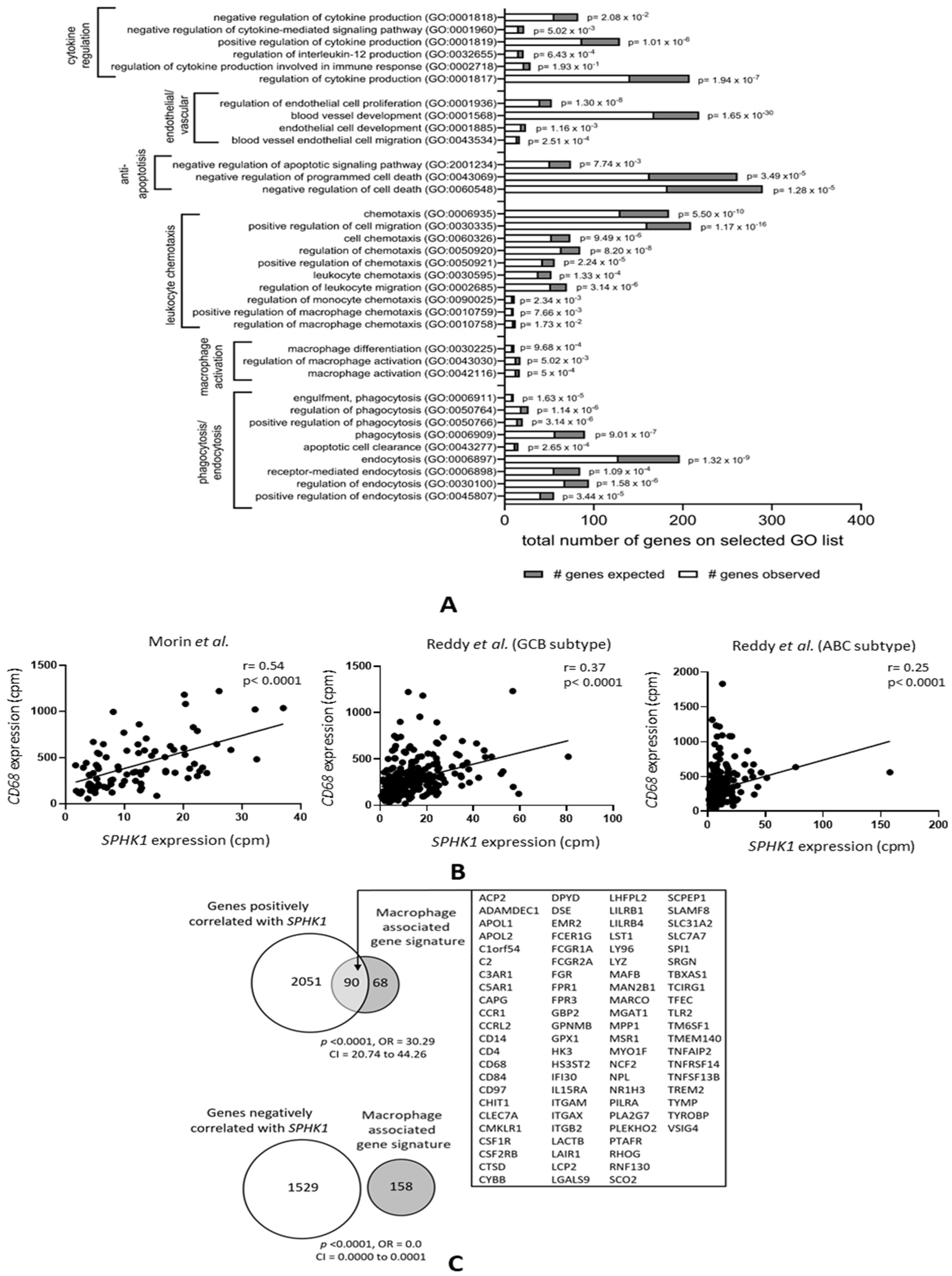 Cancers 16 00574 g001